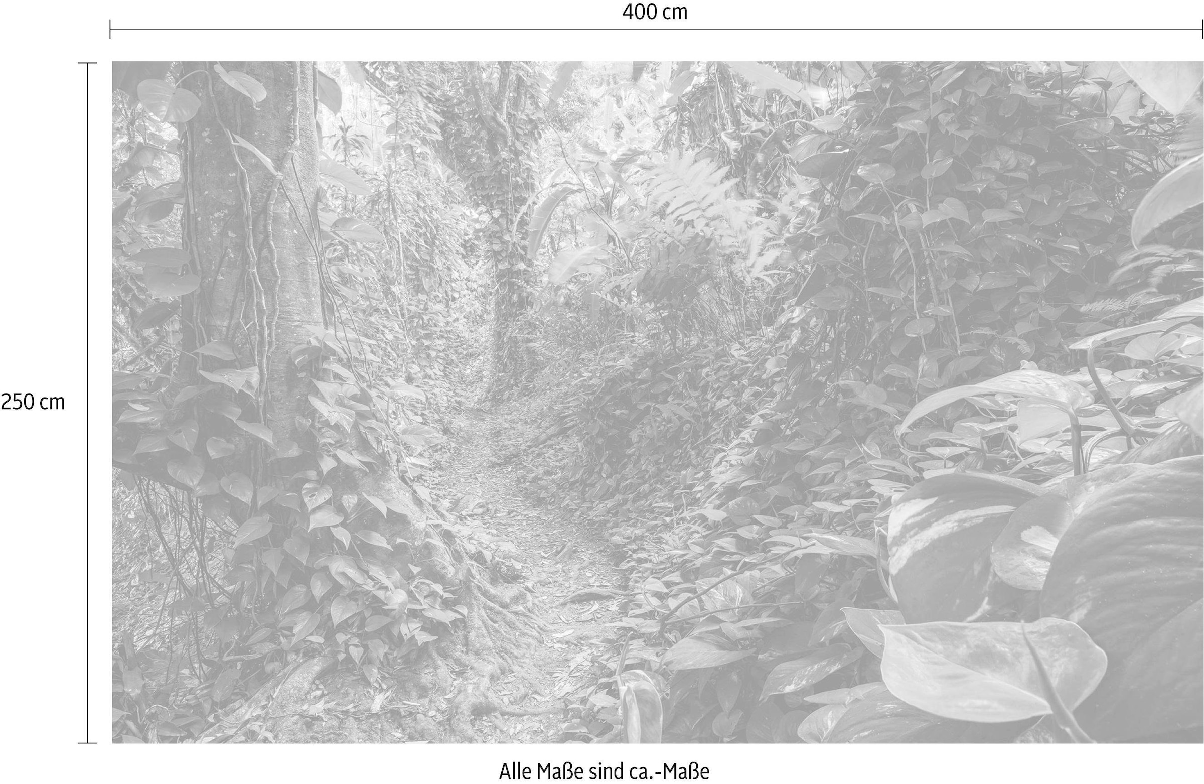 Komar Vliestapete »Digitaldruck Vlies - Path of Dreams - Größe 400 x 250 cm«, bedruckt, Wohnzimmer, Schlafzimmer