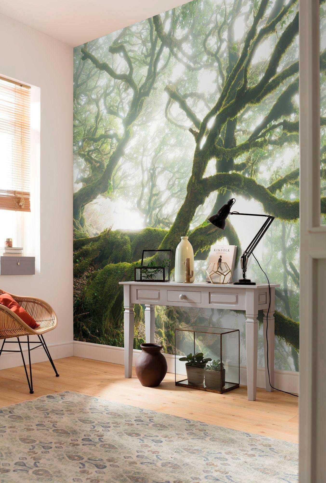 Komar Vliestapete »Digitaldruck Vlies - The Forgotten Forest - Größe 400 x 250 cm«, bedruckt, Wohnzimmer, Schlafzimmer