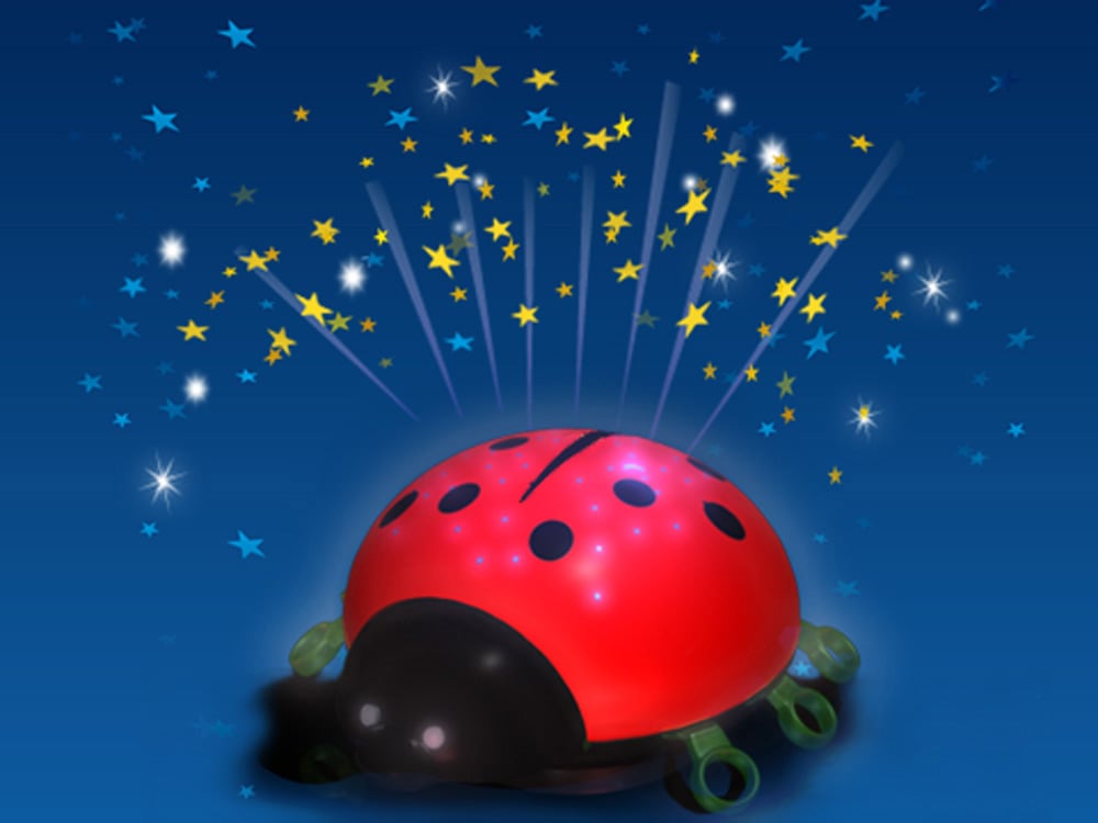 niermann LED Nachtlicht »Beetlestar«, 3 Nachtlicht flammig-flammig, online mit | kaufen 1 XXL Garantie Jahren Beetlestar