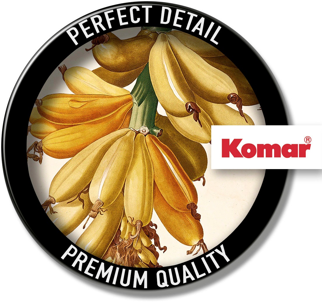 Komar Bild »Plantains«, Natur, (1 St.), Wandbild zur Dekoration - ohne Rahmen
