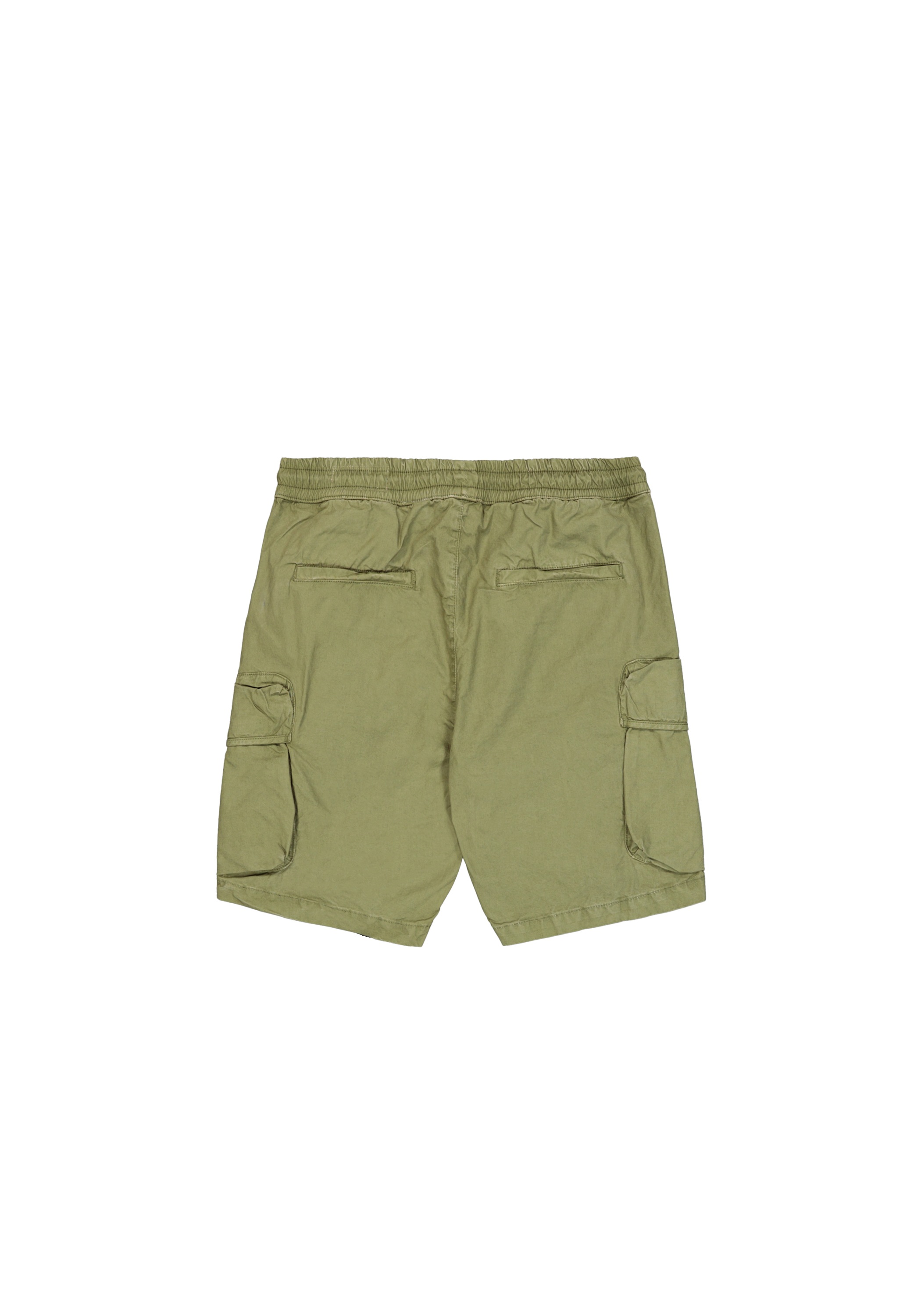 Alpha Industries Shorts »Division Short«