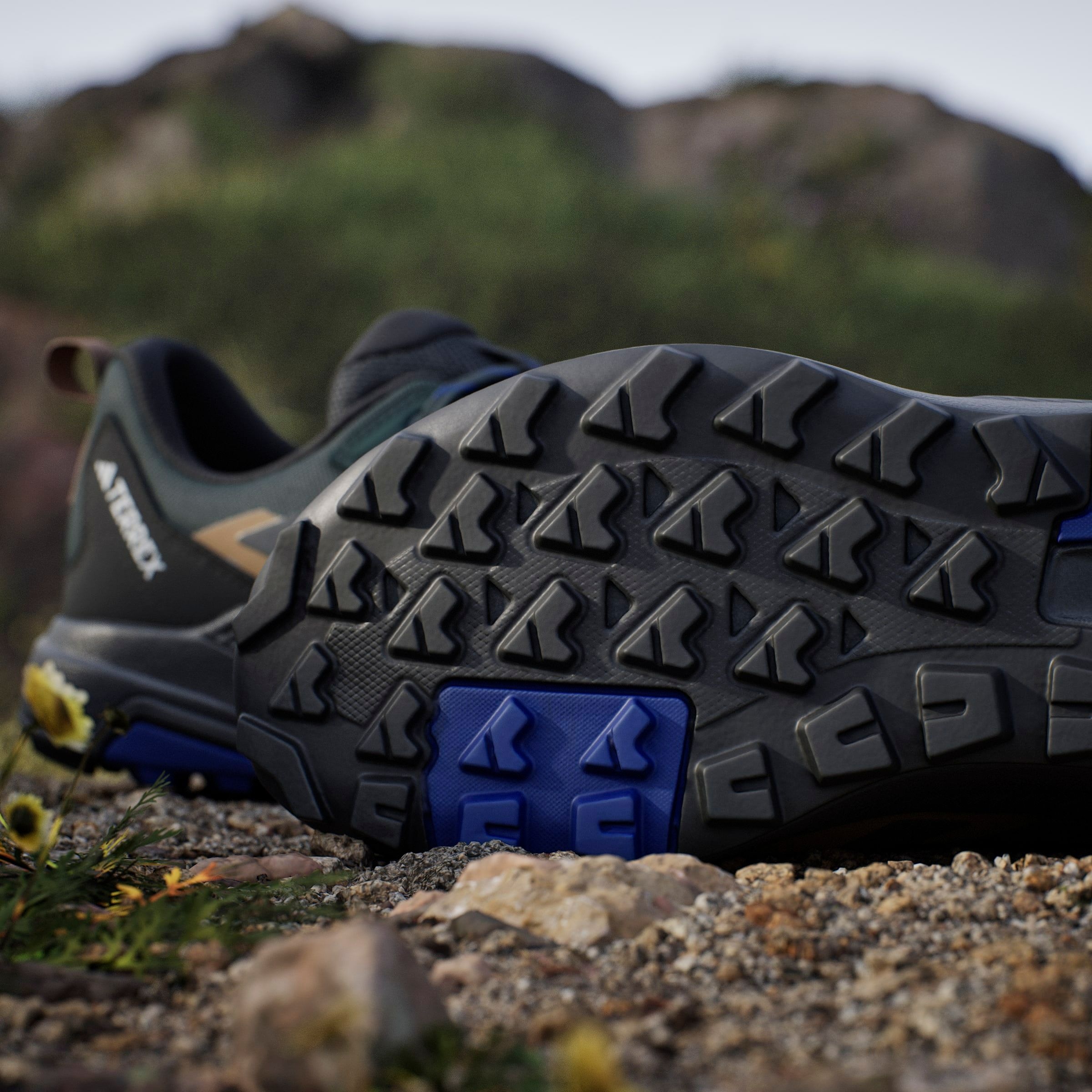 adidas TERREX Wanderschuh »TERREX ANYLANDER«