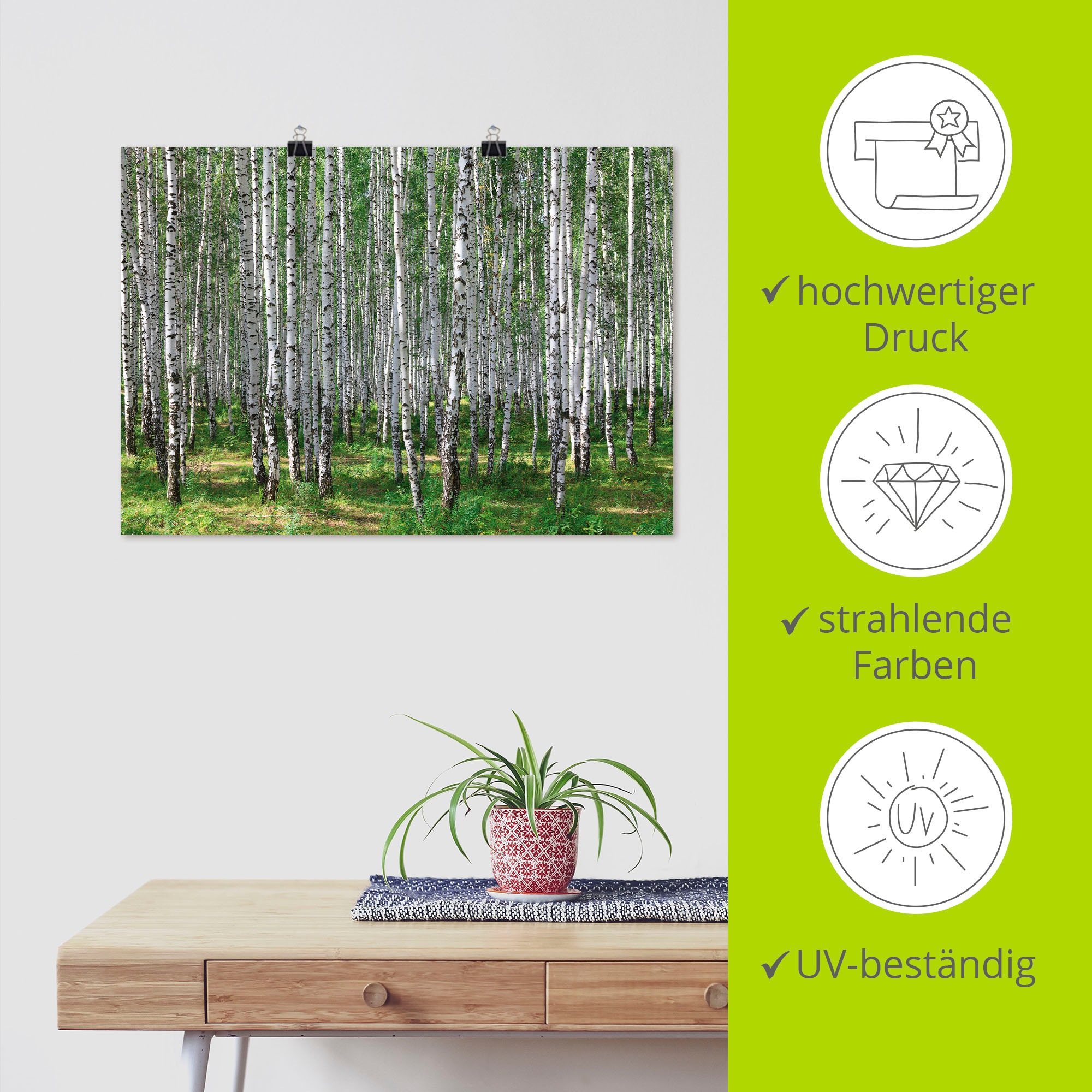 Artland Wandbild »Birkenwald«, Wald, (1 St.), als Poster, Wandaufkleber in verschied. Größen