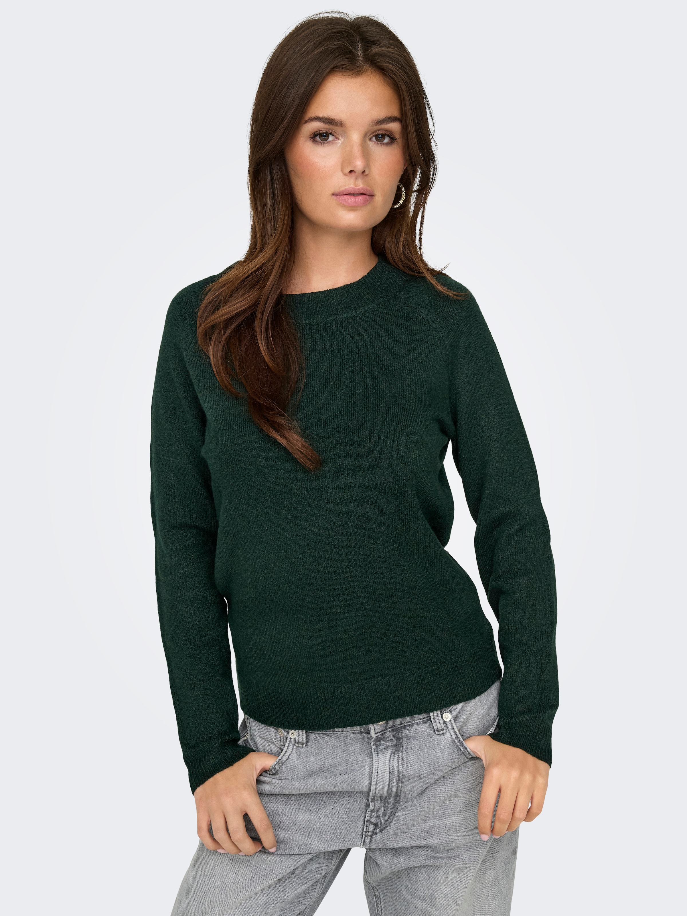 ONLY »ONLRICA LIFE L/S PULLOVER  KNT NOOS« Materialmix, regular fit