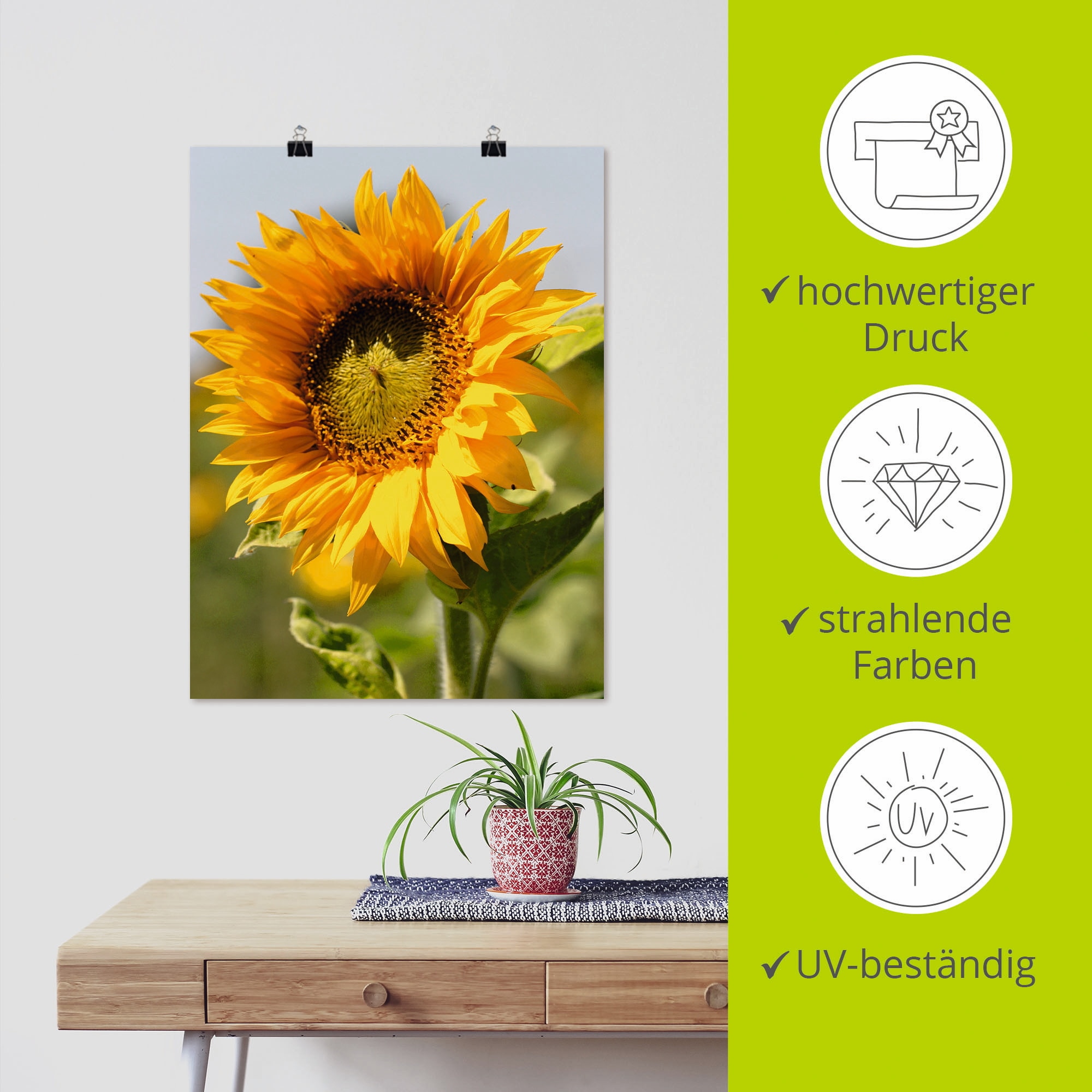 Artland Wandbild »Sonnenblume« Blumen 1 Stk. tlg. als Leinwandbild, Poster in verschied. Größen