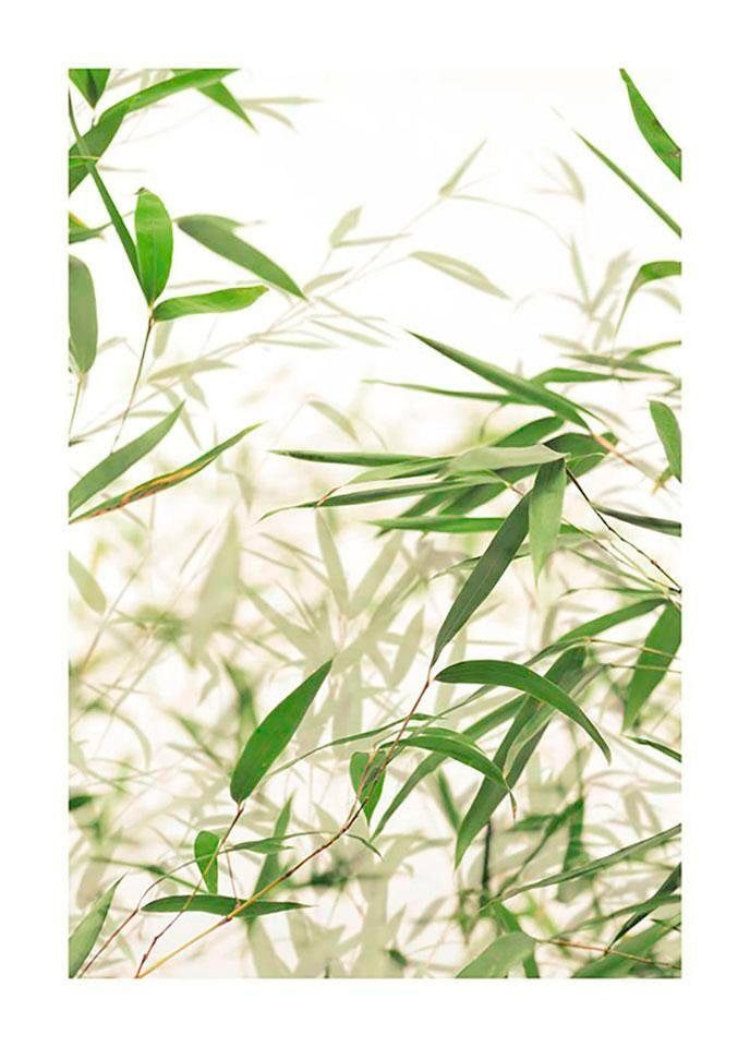 Komar Bild »Bamboo Leaves«, Pflanzen-Blätter, (1 St.), Wandbild zur Dekoration - ohne Rahmen