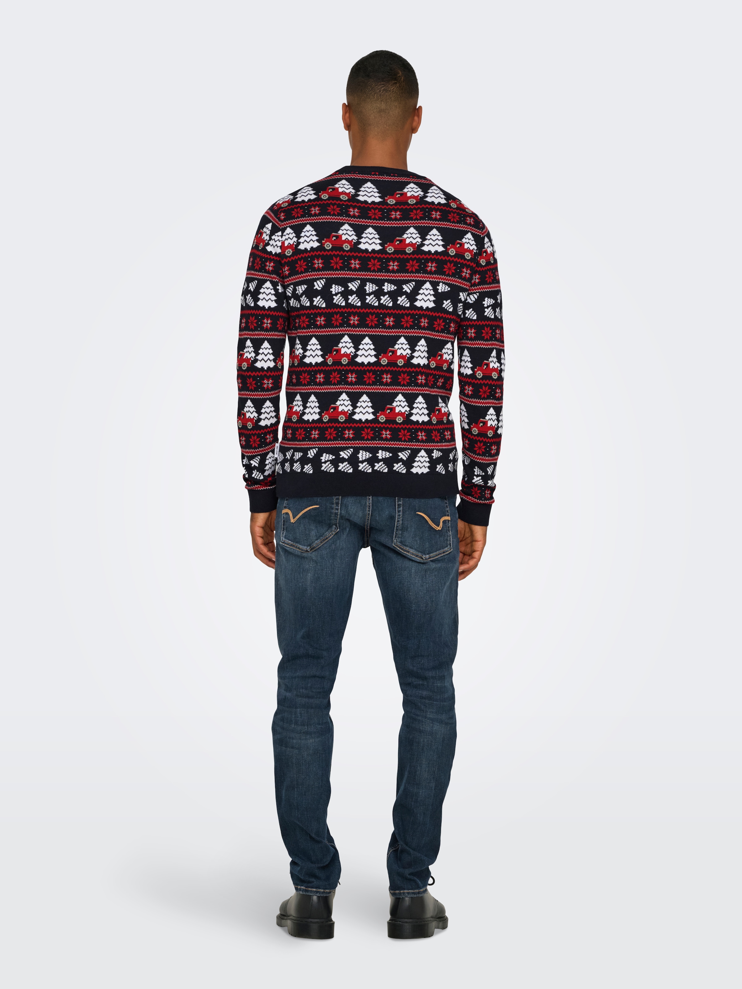 ONLY & SONS Rundhalspullover »ONSXMAS REG 5 JAQ CREW KNIT«