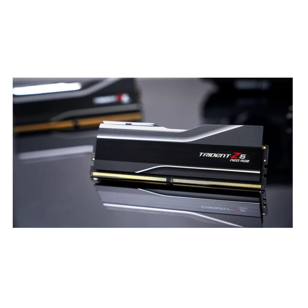 G.Skill PC-Arbeitsspeicher »F5-6000J3636F16GX2-TZ5NR«