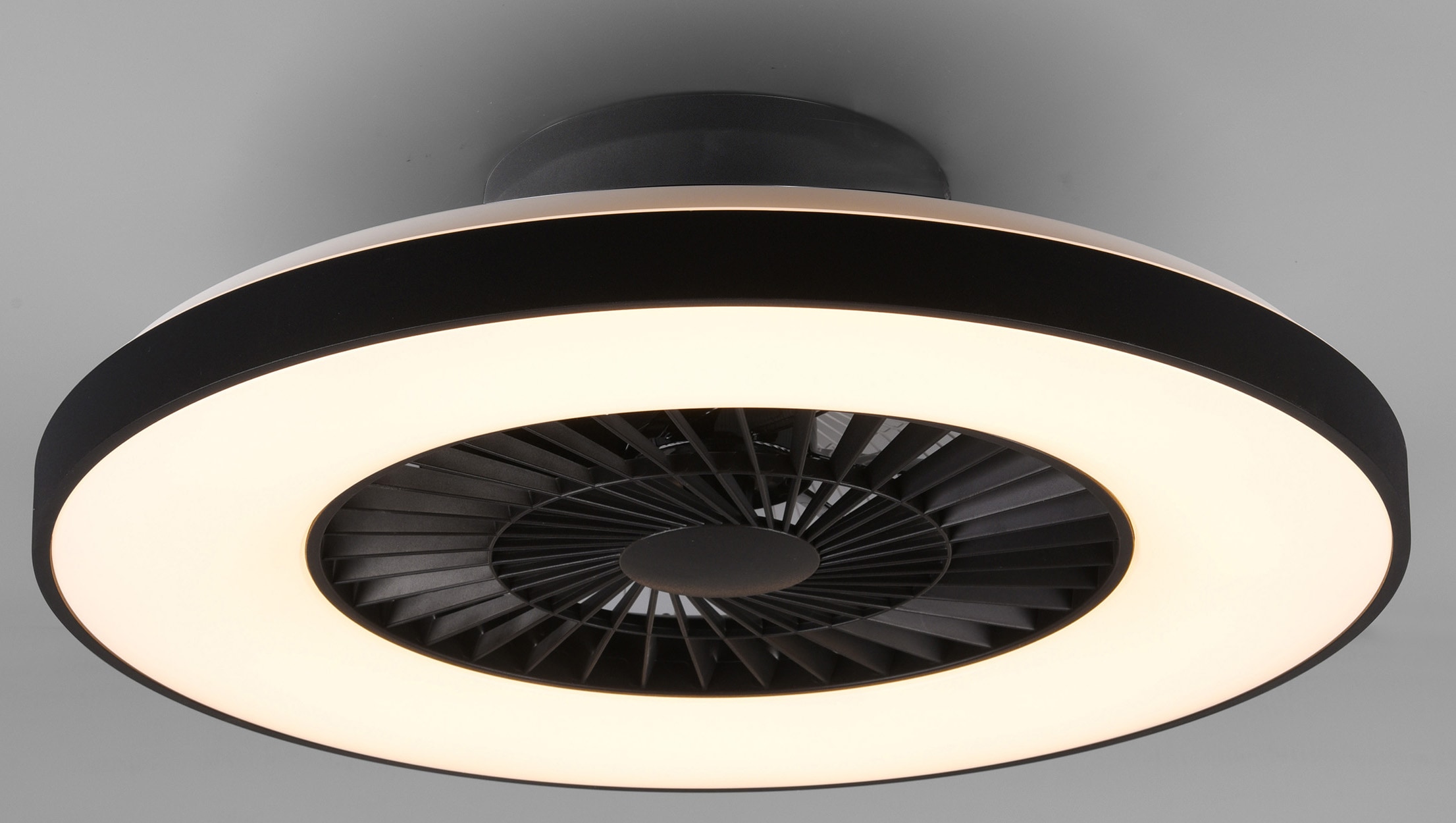 TRIO Leuchten LED Deckenleuchte Ventilator, Jahren schaltbar XXL Nachtlicht. Leuchte integrierter und getrennt mit »Halmstad«, Ventilator Garantie 3 Fernbedienung, und mit online kaufen Dimmer 