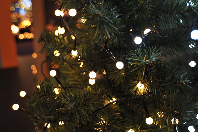 näve Lichterkette »LED-Outdoor-Weihnachtslichterkette, Weihnachtsdeko rot 1 240cm, an Ein-/Ausschalter, und bequem incl. aus),Farbe: St.-flammig, rot l: kaufen 18h Timer aussen«, (6h