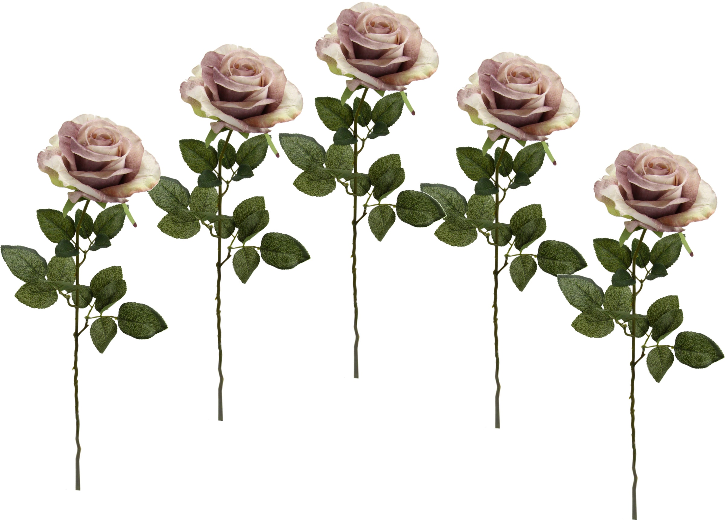 I.GE.A. Kunstblume »Rose«, 5er kaufen bequem Set