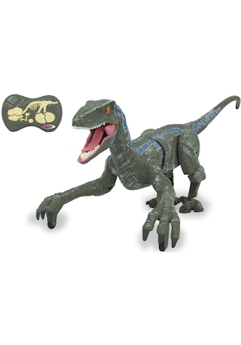 RC-Tier »Dinosaurier Velociraptor«
