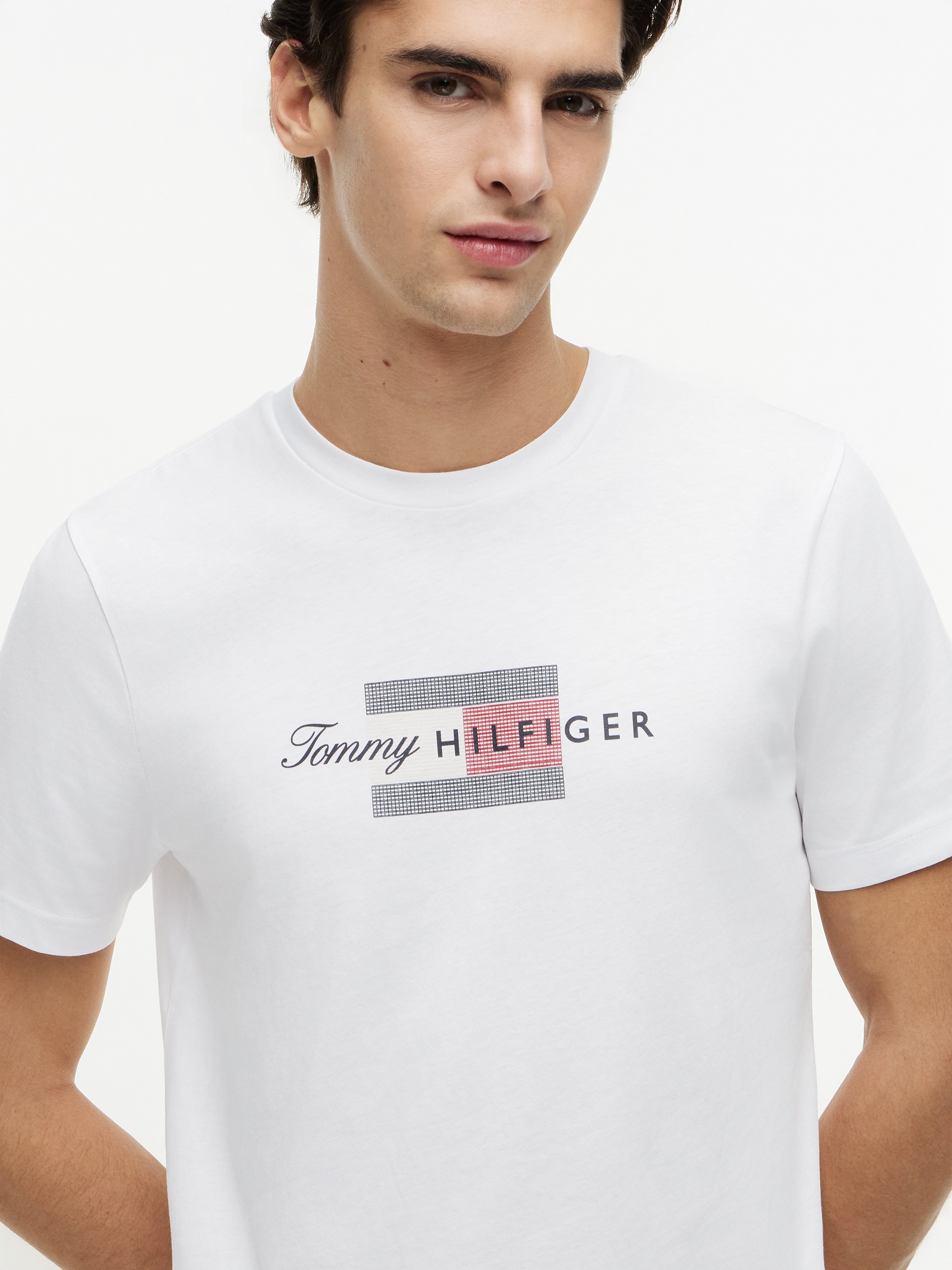 Tommy Hilfiger T-Shirt »SCRIPT FLAG REGULAR TEE« aus Jersey mit Flag-Grafik