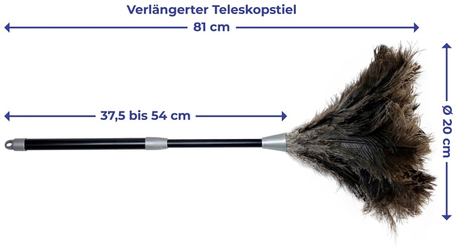 Maximex Staubwedel »Straußenfeder Staub-Magnet«, Staubbesen mit 100% echten Straußenfedern, ausziehbarer Teleskopstiel