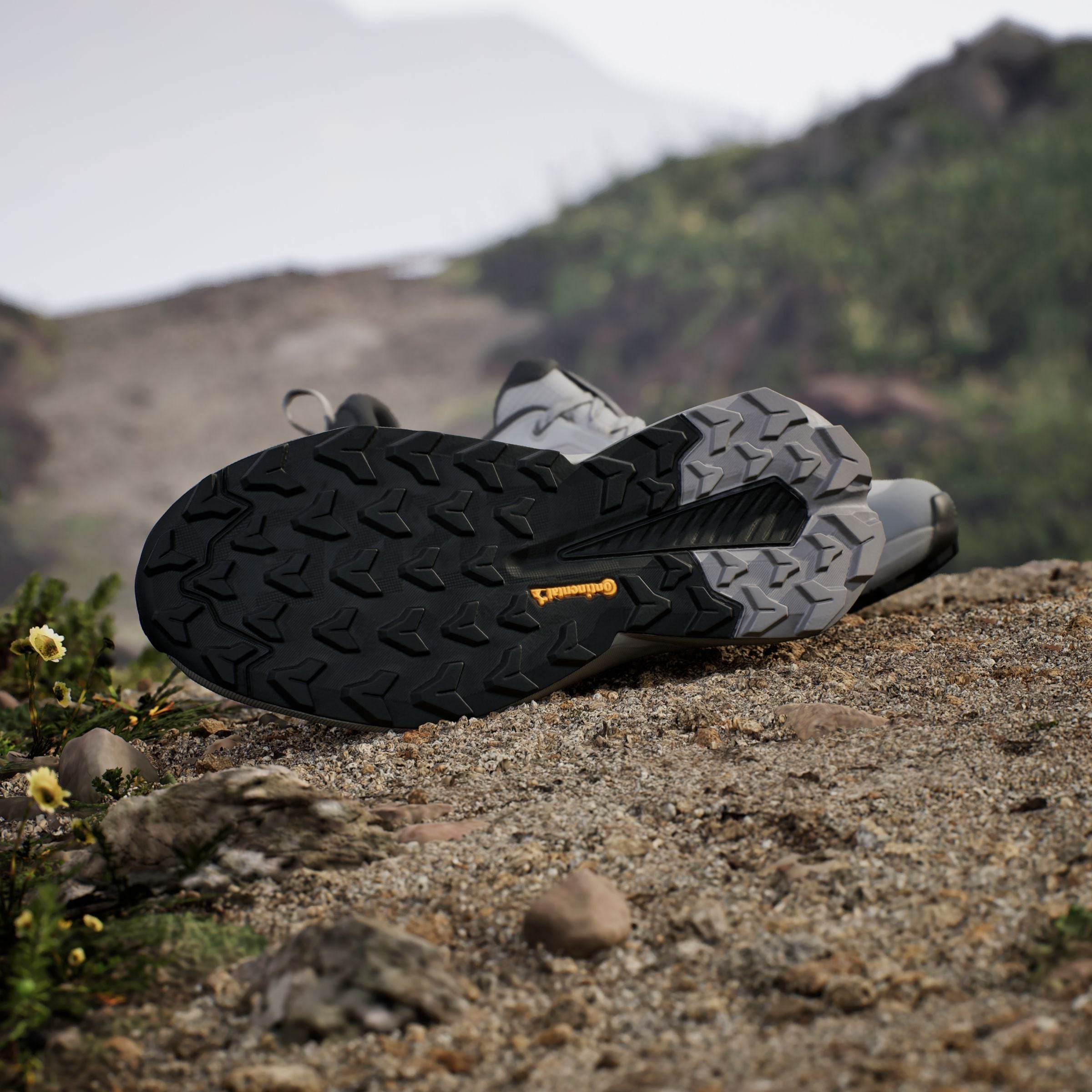 adidas TERREX Wanderschuh »TERREX TRAILMAKER 2 GORE-TEX«  wasserdicht