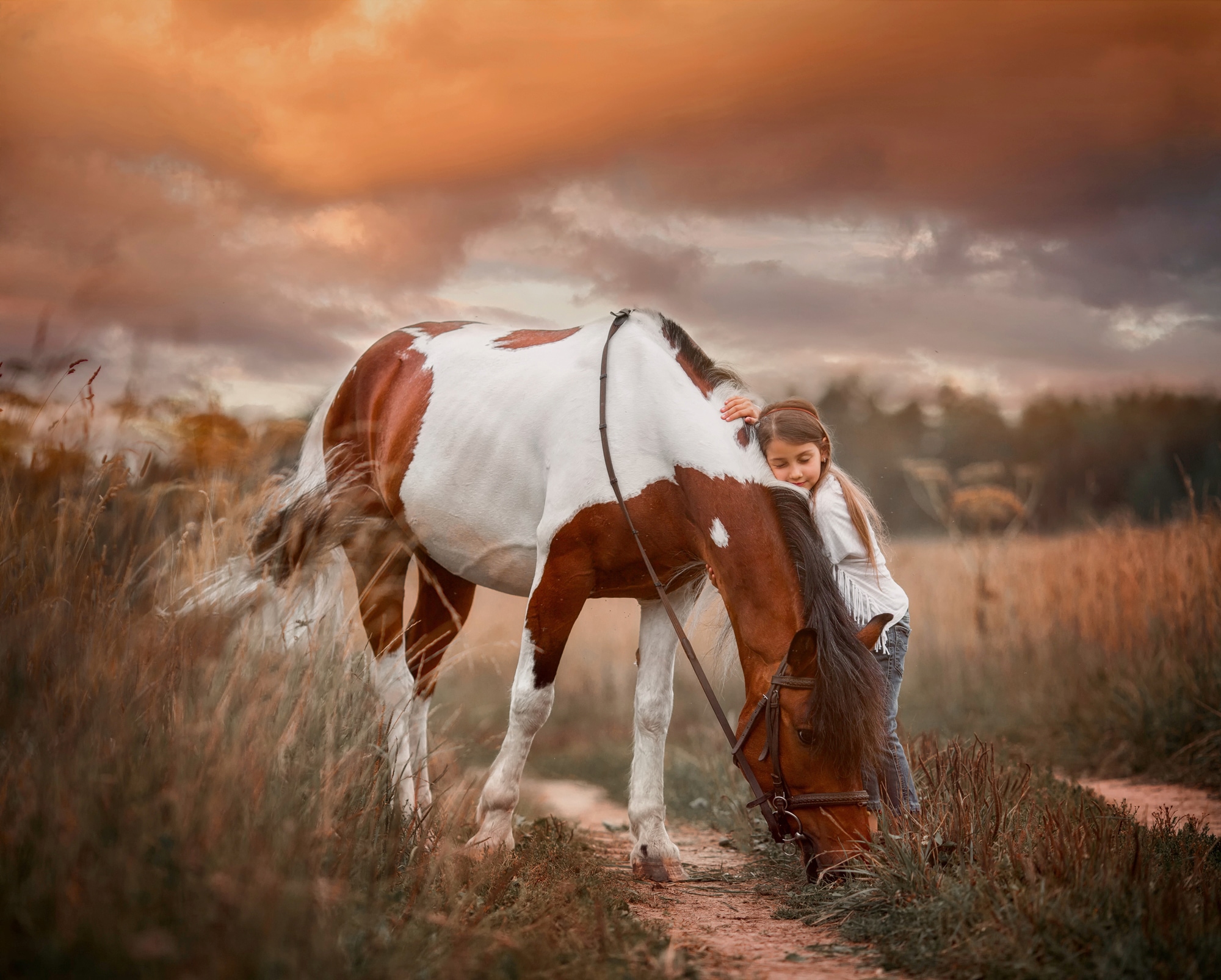 Papermoon Fototapete »PINTO PONY-PFERD MÄDCHEN SCHECKE TIER MINI INDIAN«
