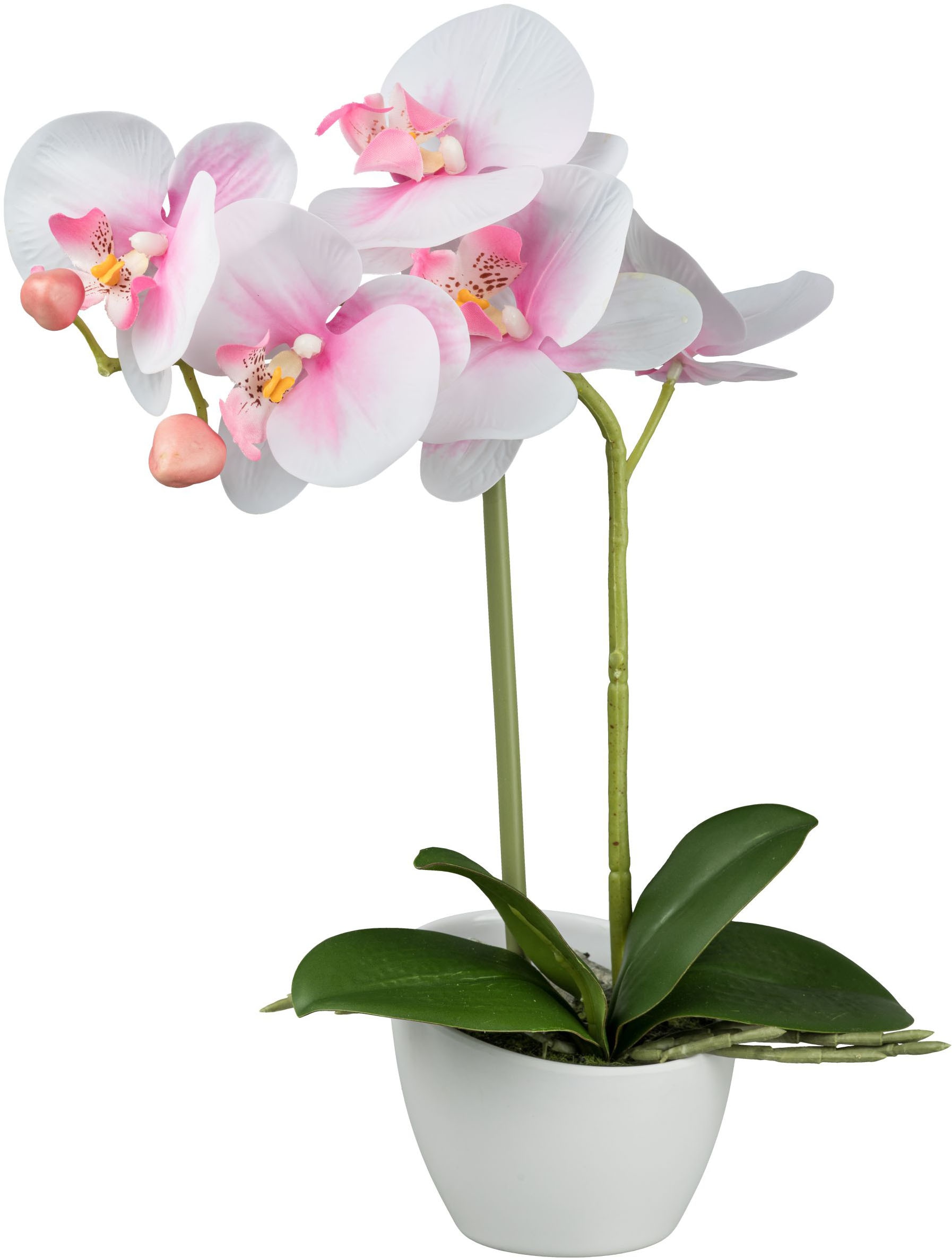 Creativ green Kunstorchidee »Orchidee Phalaenopsis«, im Design-Topf