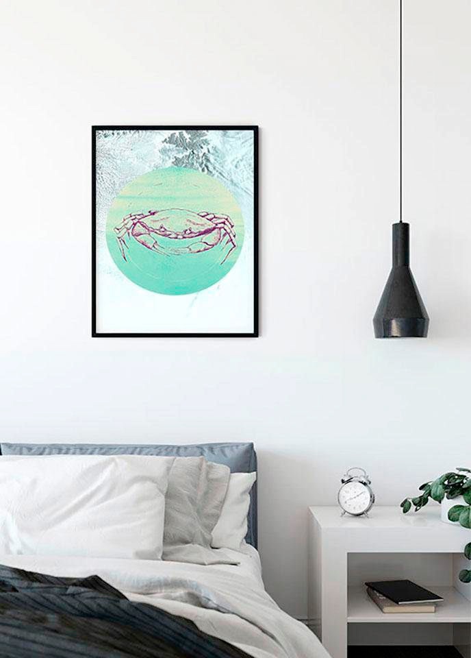 Komar Bild »Crab Sea« Tiere 1 Stk. tlg. Wandbild zur Dekoration - ohne Rahmen