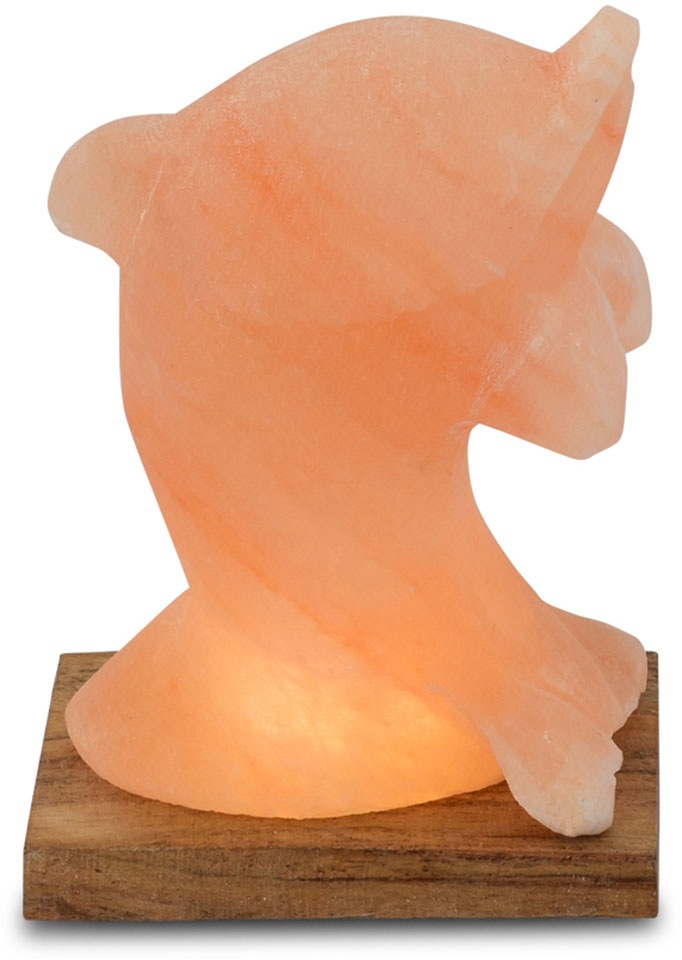 HIMALAYA SALT DREAMS Salzkristall-Tischlampe »Delfin«, ein ca.15 kaufen cm Stein | jeder Jahren aus 3 - Unikat, online H: mit XXL Salzkristall Handgefertigt Garantie