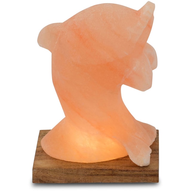 HIMALAYA SALT DREAMS Salzkristall-Tischlampe »Delfin«, Handgefertigt aus  Salzkristall - jeder Stein ein Unikat, H: ca.15 cm online kaufen | mit 3  Jahren XXL Garantie