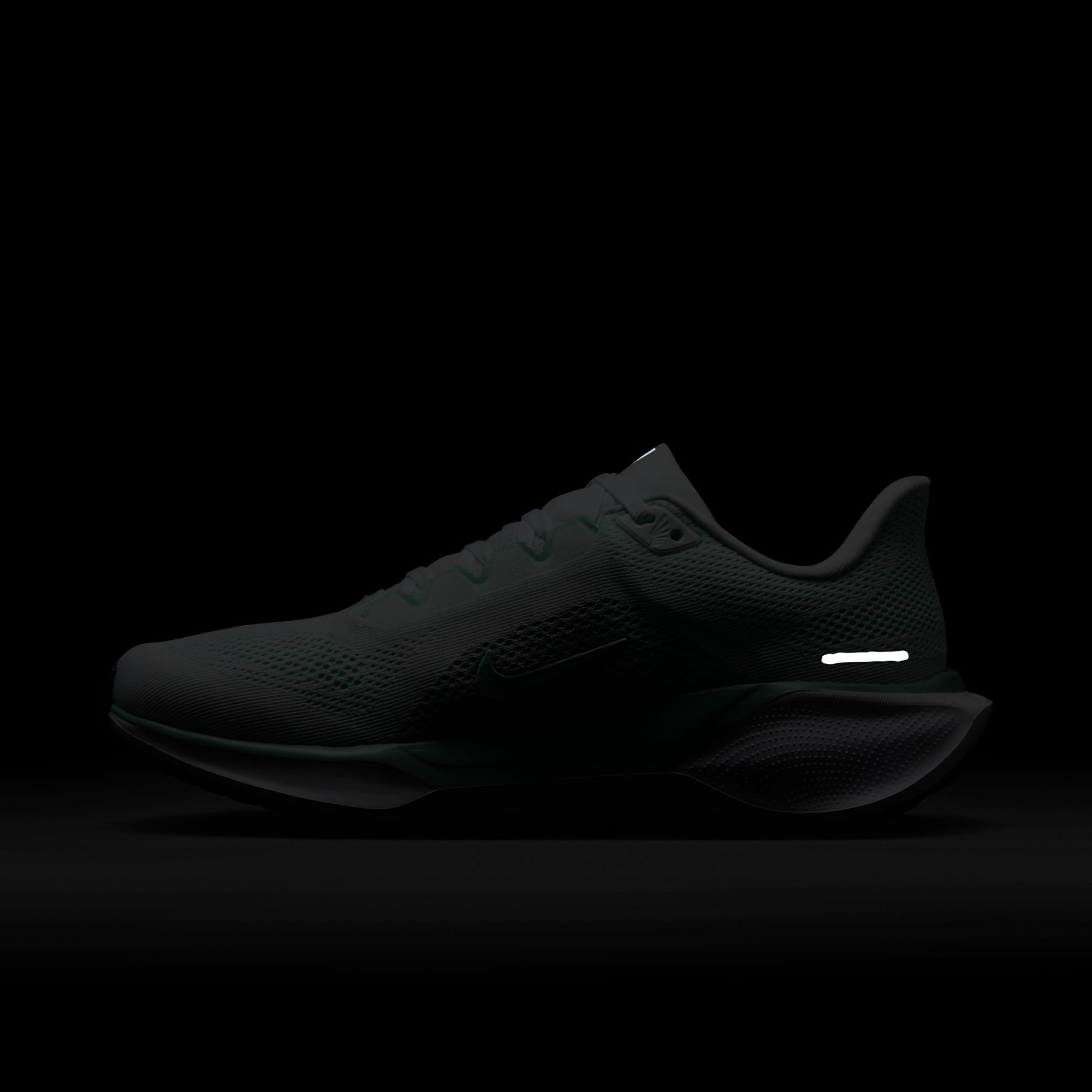 Nike Laufschuh »W AIR ZOOM PEGASUS 41«