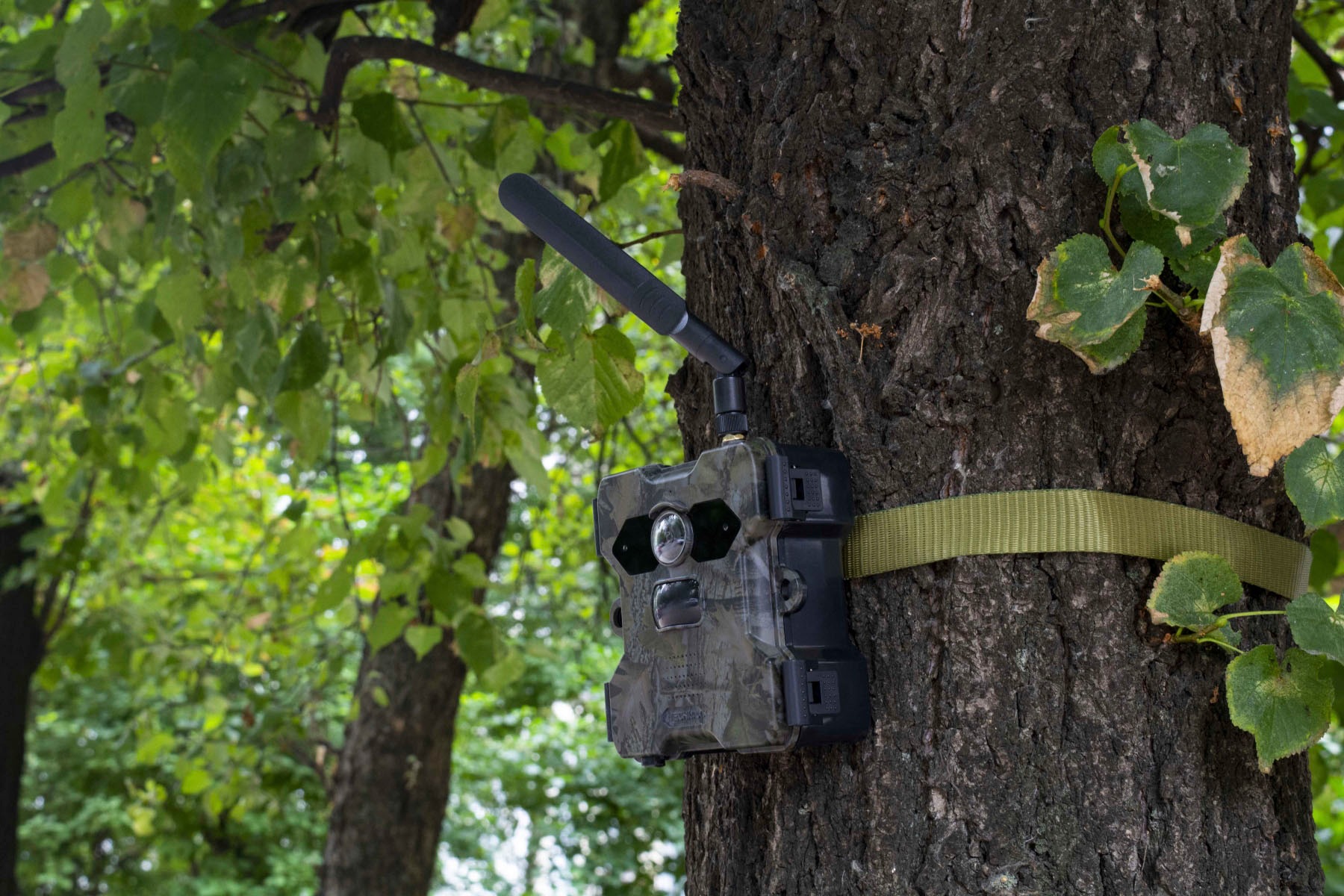 Technaxx Wildkamera »4G Wildcam TX-189 + Solar Panel«, Außenbereich