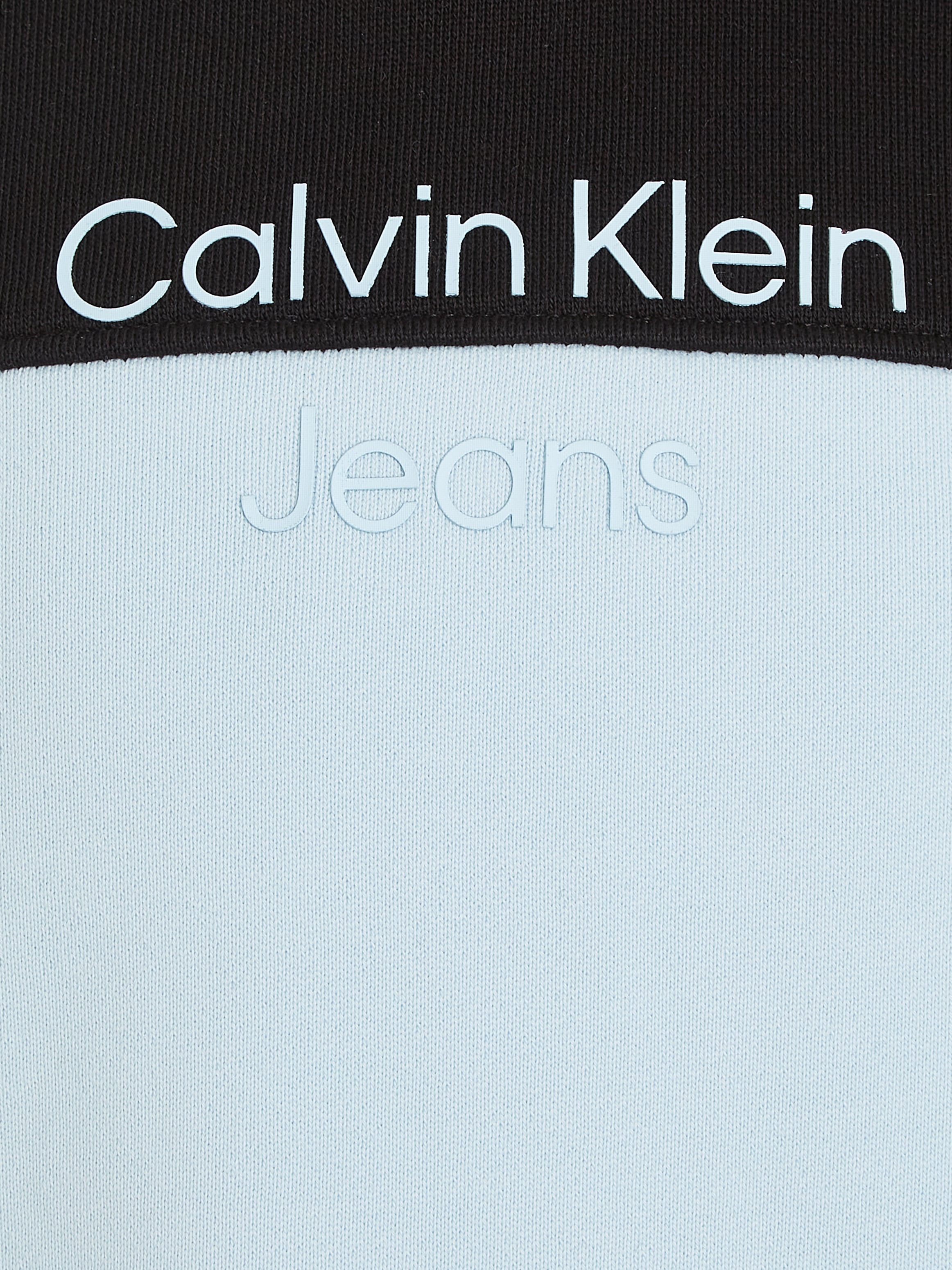 Sweatshirt Calvin Kapuze Klein ♕ Jeans »TERRY BLOCK REG. HOODIE«, COLOR bei mit