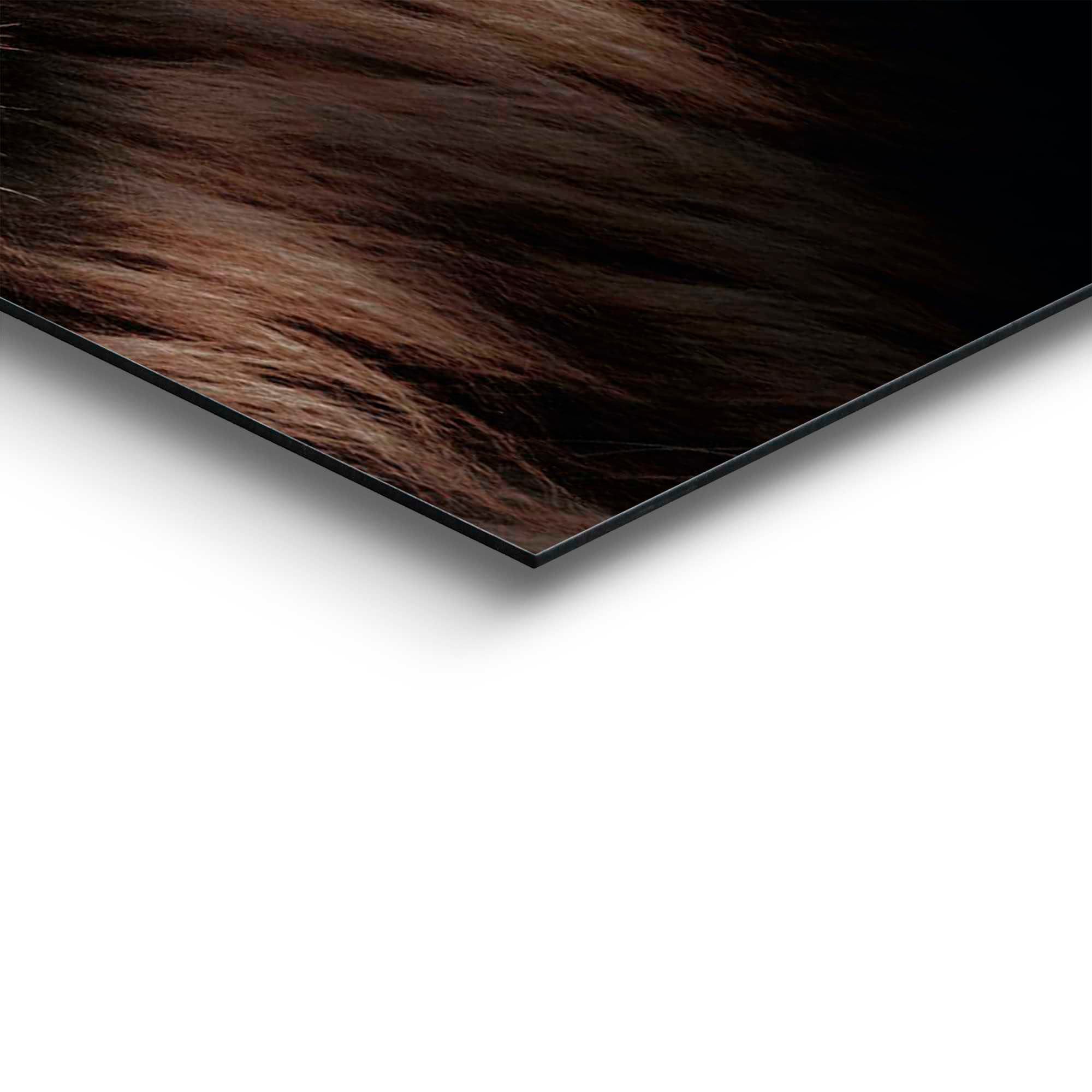 Reinders! Deco-Panel »Löwe«