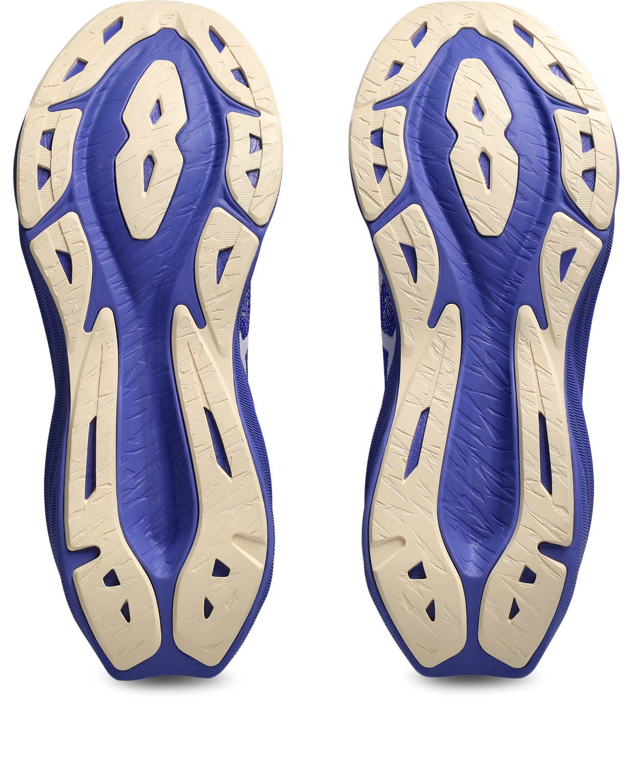 Asics Laufschuh »DYNABLAST 5«