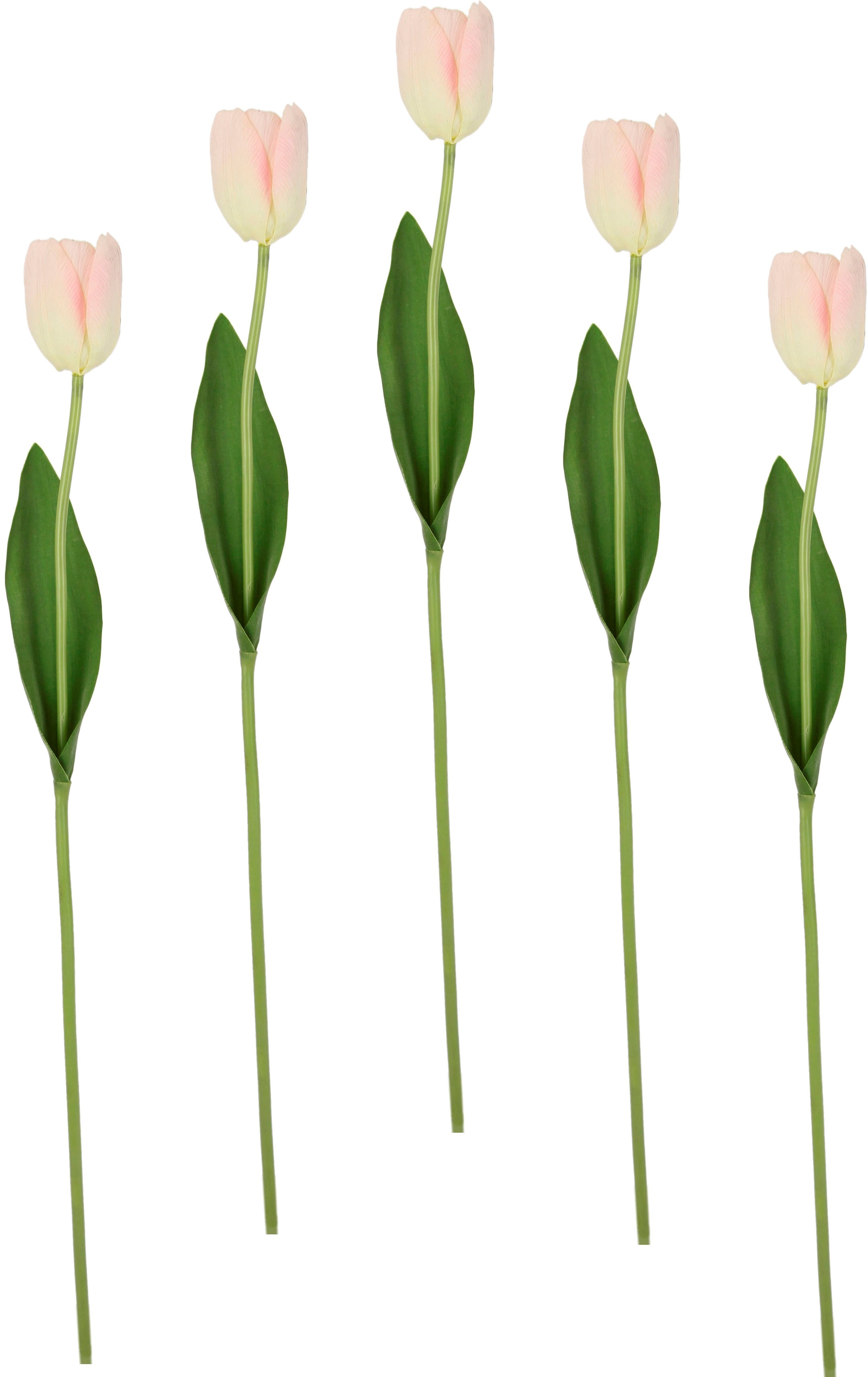 I.GE.A. Kunstblume »Real Touch Tulpen«, 5er Set künstliche Tulpenknospen, Kunstblumen, Stielblume