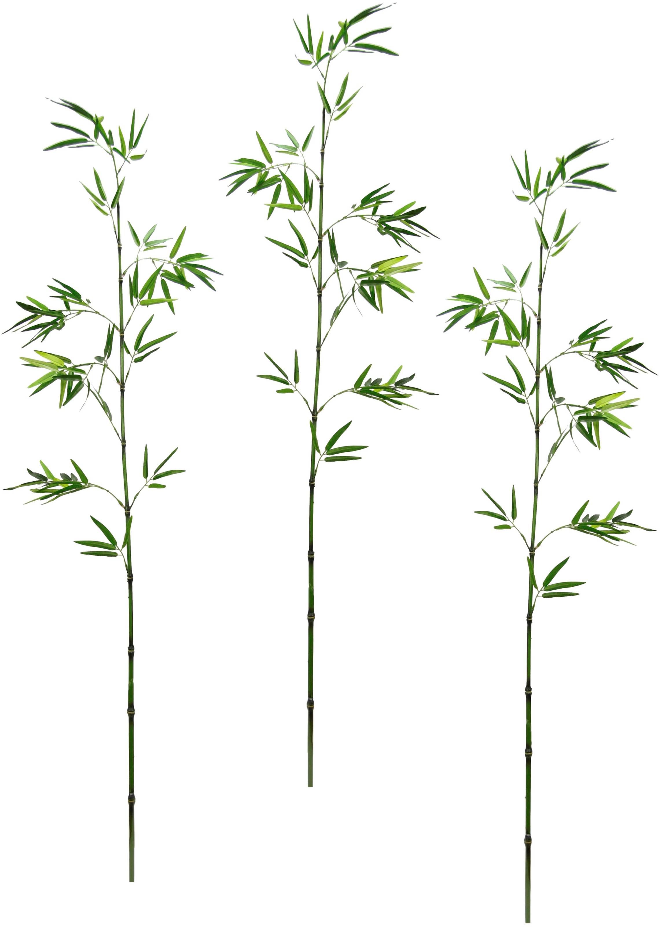 Set auf bestellen I.GE.A. Dekozweig, 3er Rechnung Kunstpflanze »Bambuszweig«, groß