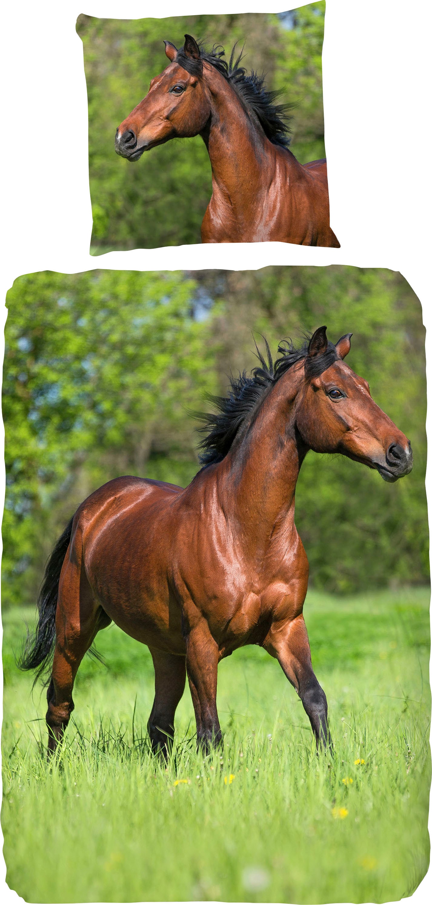 good morning Kinderbettwäsche »Running horse«, Baumwolle, 135x200, 2 Teilig, Reißverschluss, Kind, Mädchen, Pferd