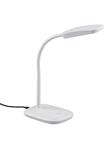 TRIO Leuchten LED Tischleuchte »Boa«, LED-Board, 1 St., Warmweiß, Schreibtischlampe,... kaufen
