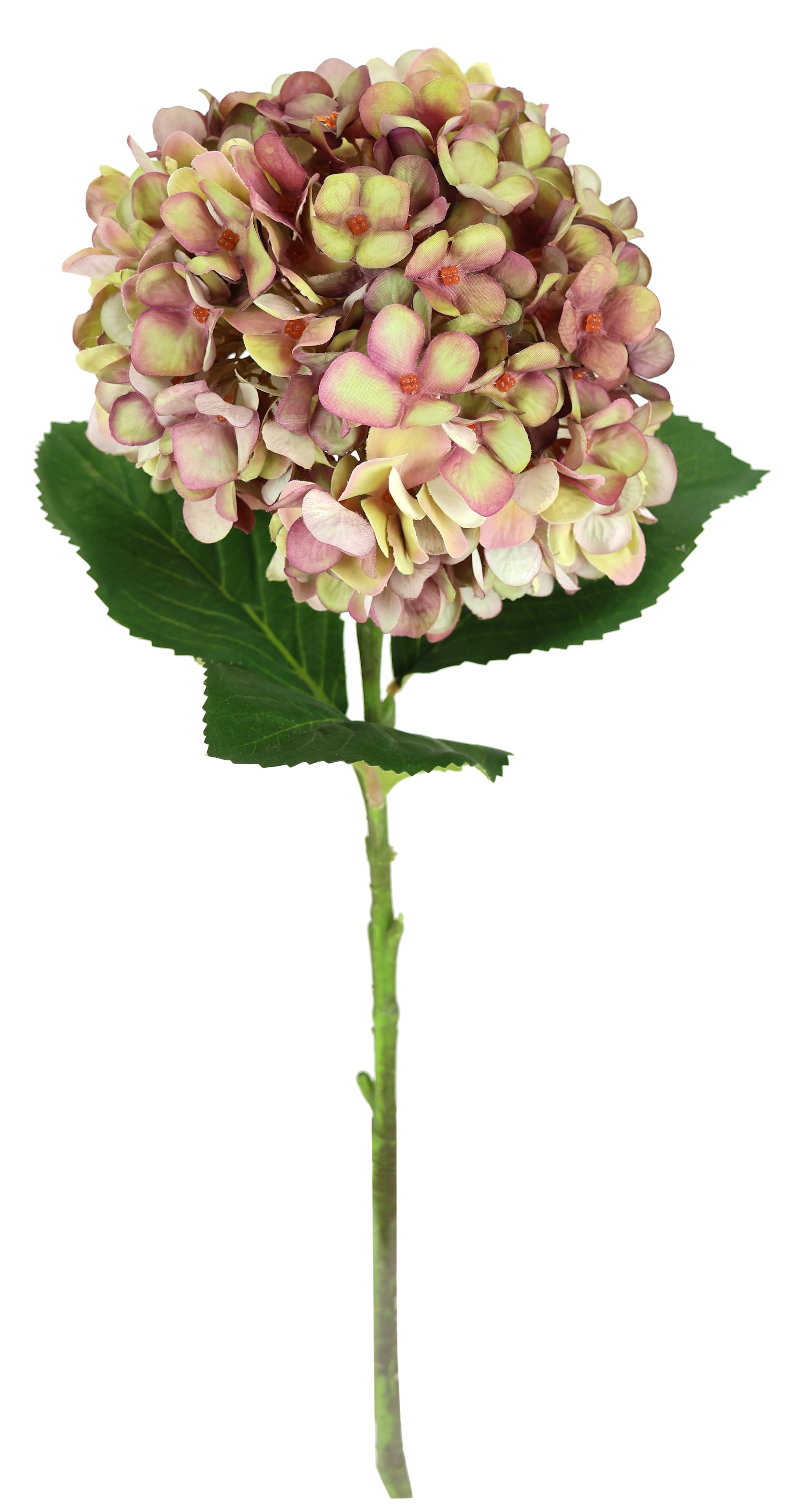 I.GE.A. Kunstblume »Künstliche Hortensie« Einzelblume Stielblume Seidenblume Dekoblume für Vase, Hochzeit
