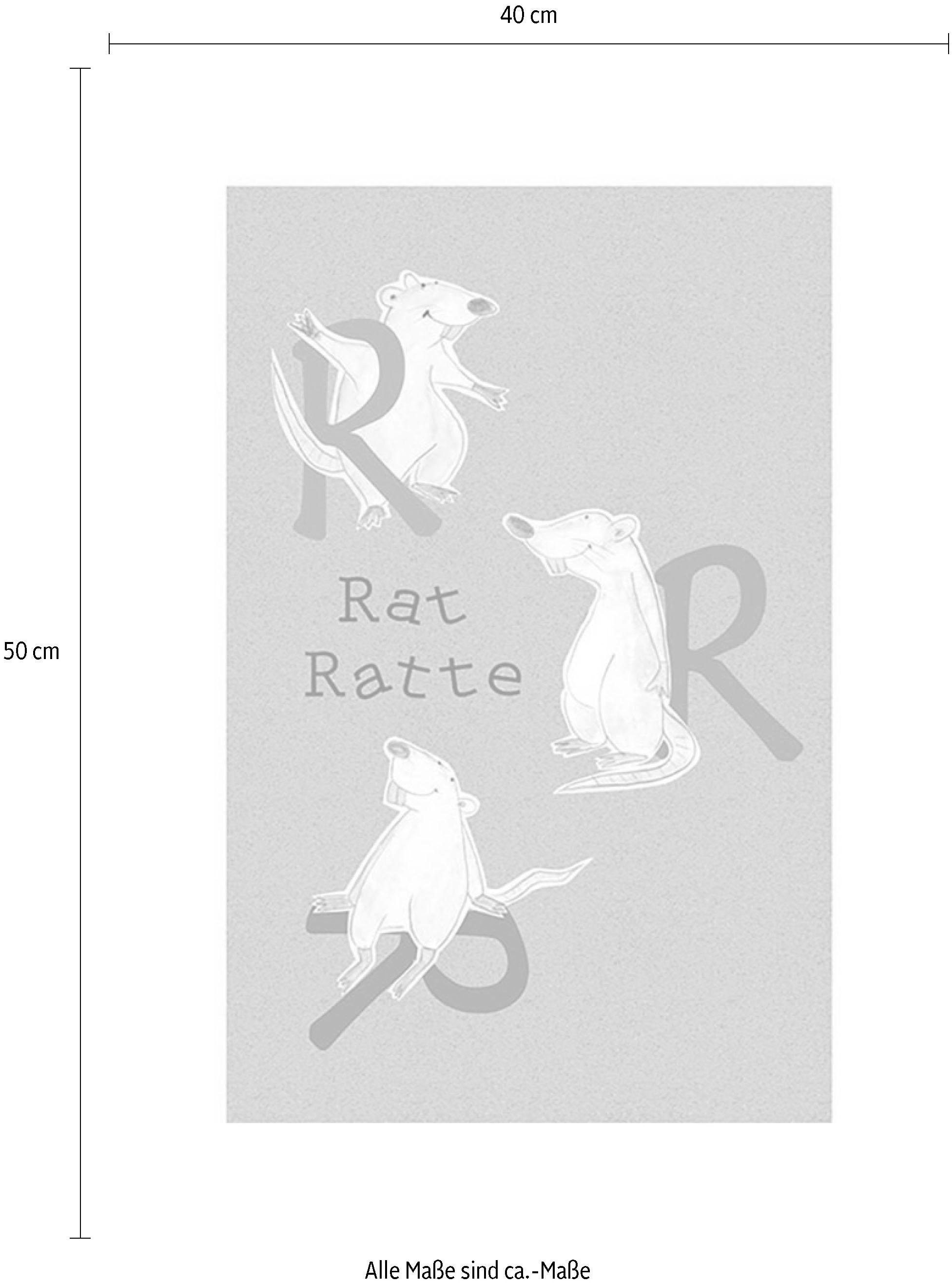 Komar Bild »ABC Animal R«, Buchstaben, (1 St.), Wandbild zur Dekoration - ohne Rahmen