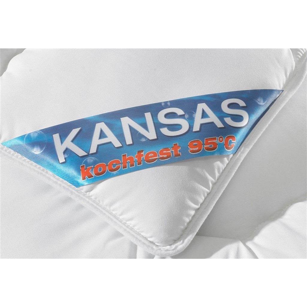 f.a.n. Schlafkomfort Microfaserbettdecke + Kopfkissen »Kansas«, (Spar-Set)