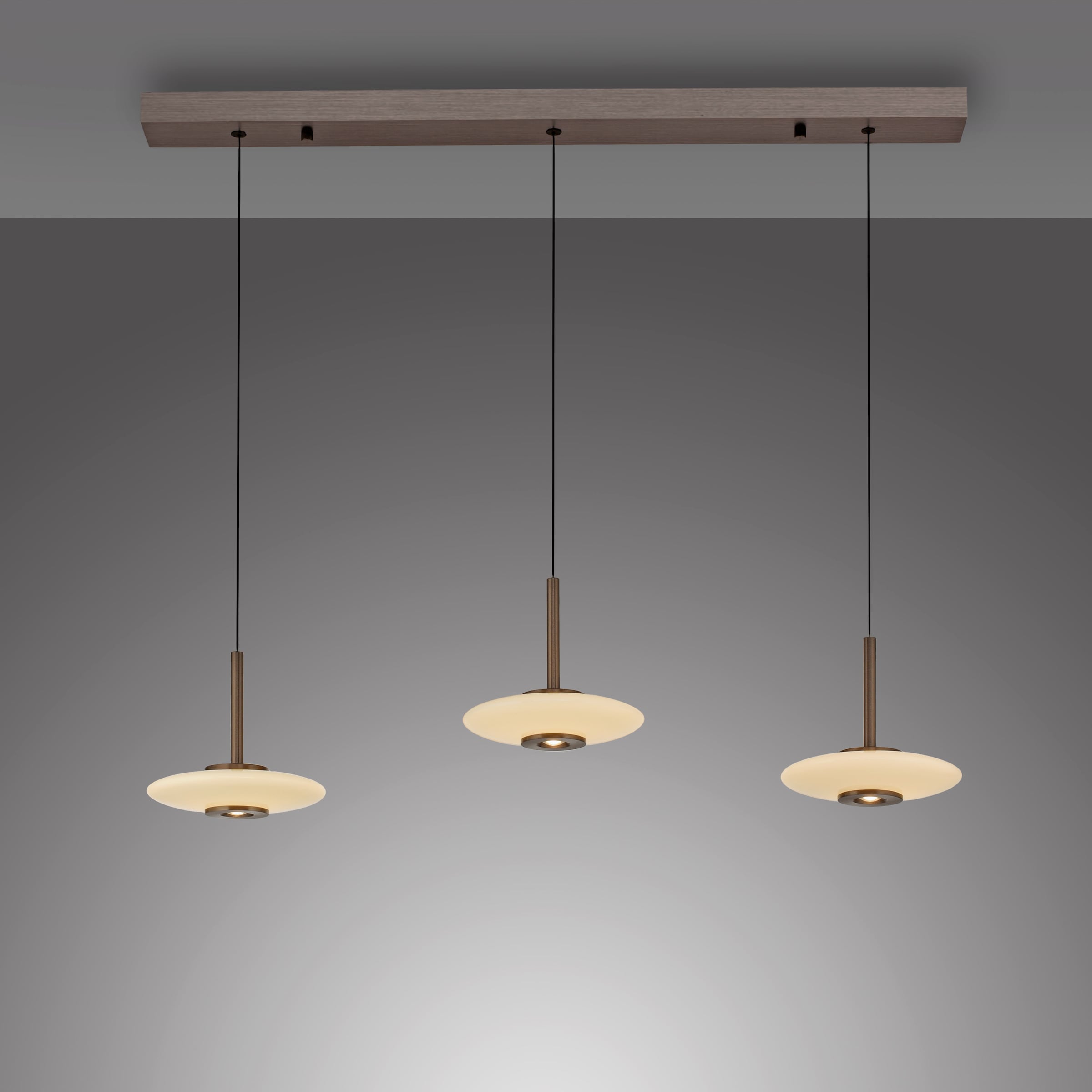 Neuhaus PURE LED Pendelleuchte »PURE Vitrum« LED-Board 1 Stk. Warmweiß Comfort Lift, dimmfähig über separaten Tronicdimmer