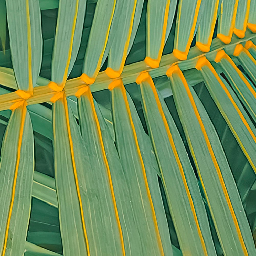 Komar Fototapete »Digitaldruck Vlies - Neon Fern - Größe 200 x 250 cm«, bedruckt, Wohnzimmer, Schlafzimmer