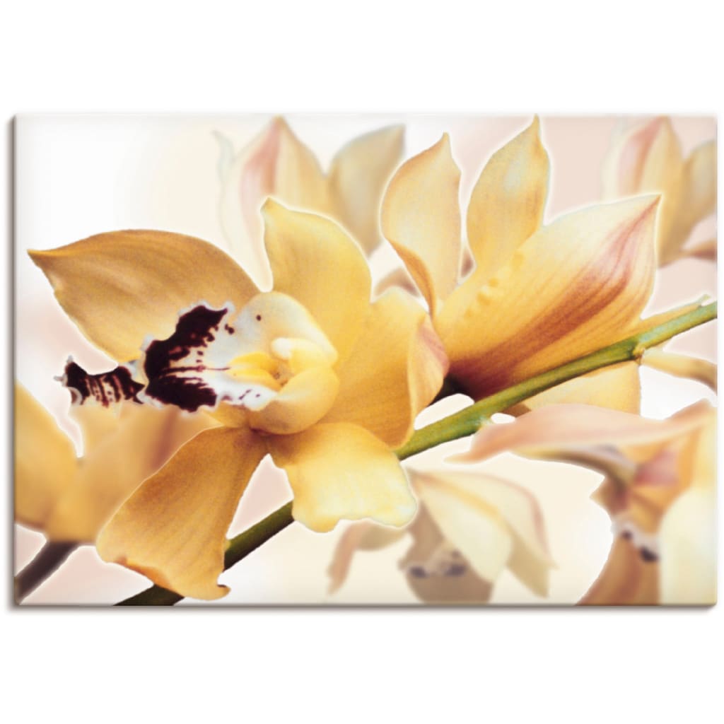 Artland Wandbild »Gelbe Orchidee«, Blumenbilder, (1 St.)