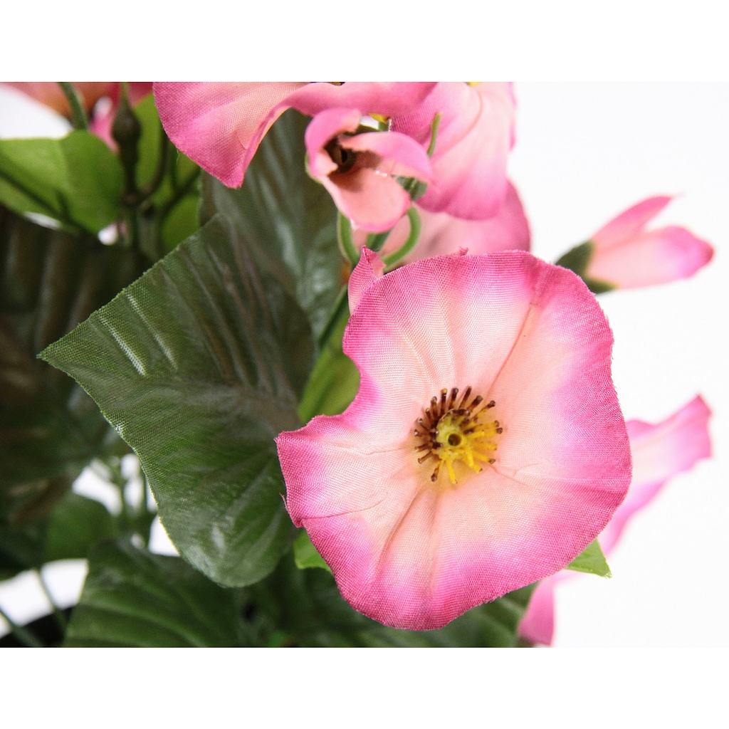 I.GE.A. Kunstblume »Petunien«, Im Topf, 2er Set Petunien Zierpflanze Glockenblume klein Blumen Deko