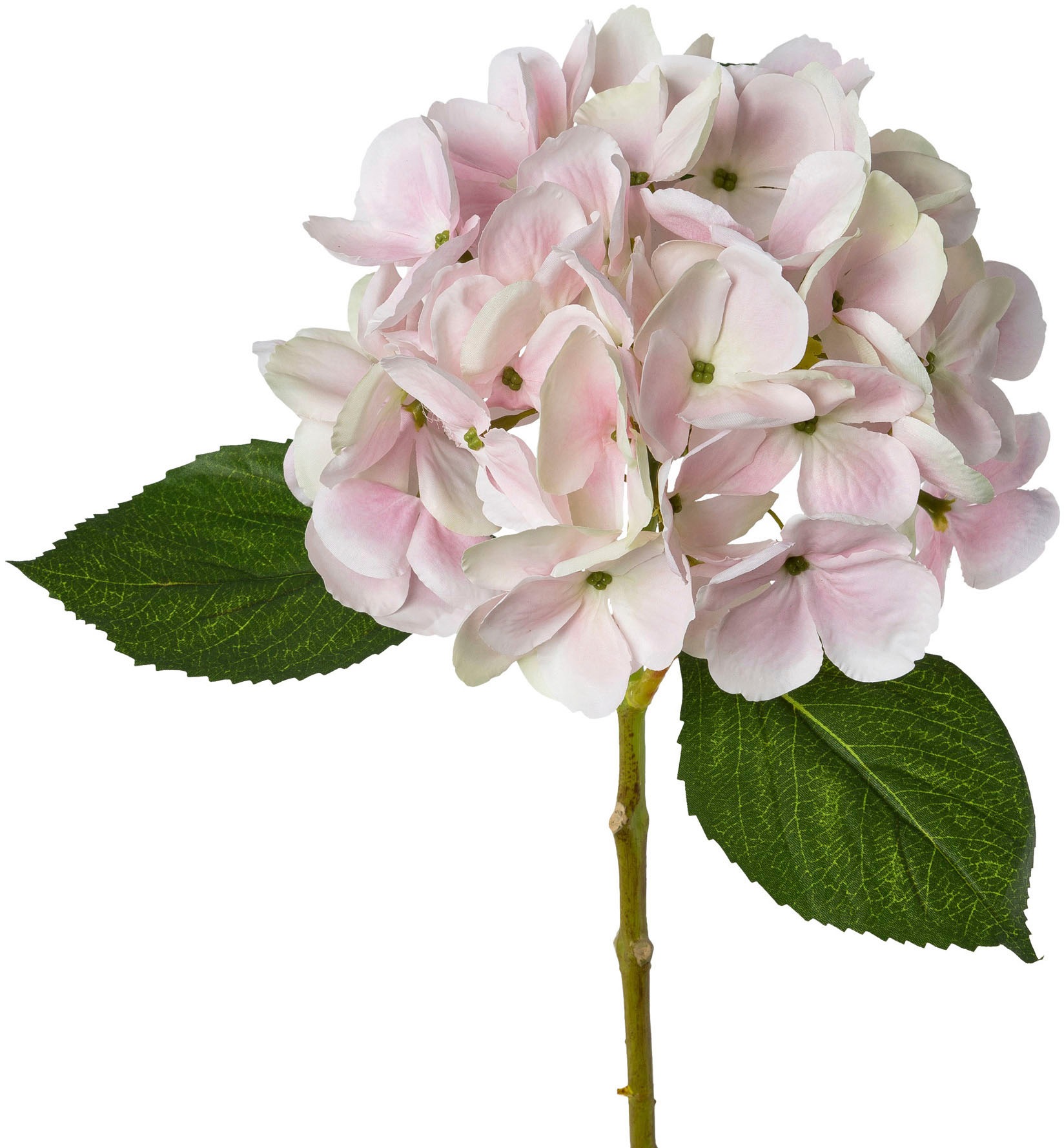 Creativ green Kunstblume »Hortensie«