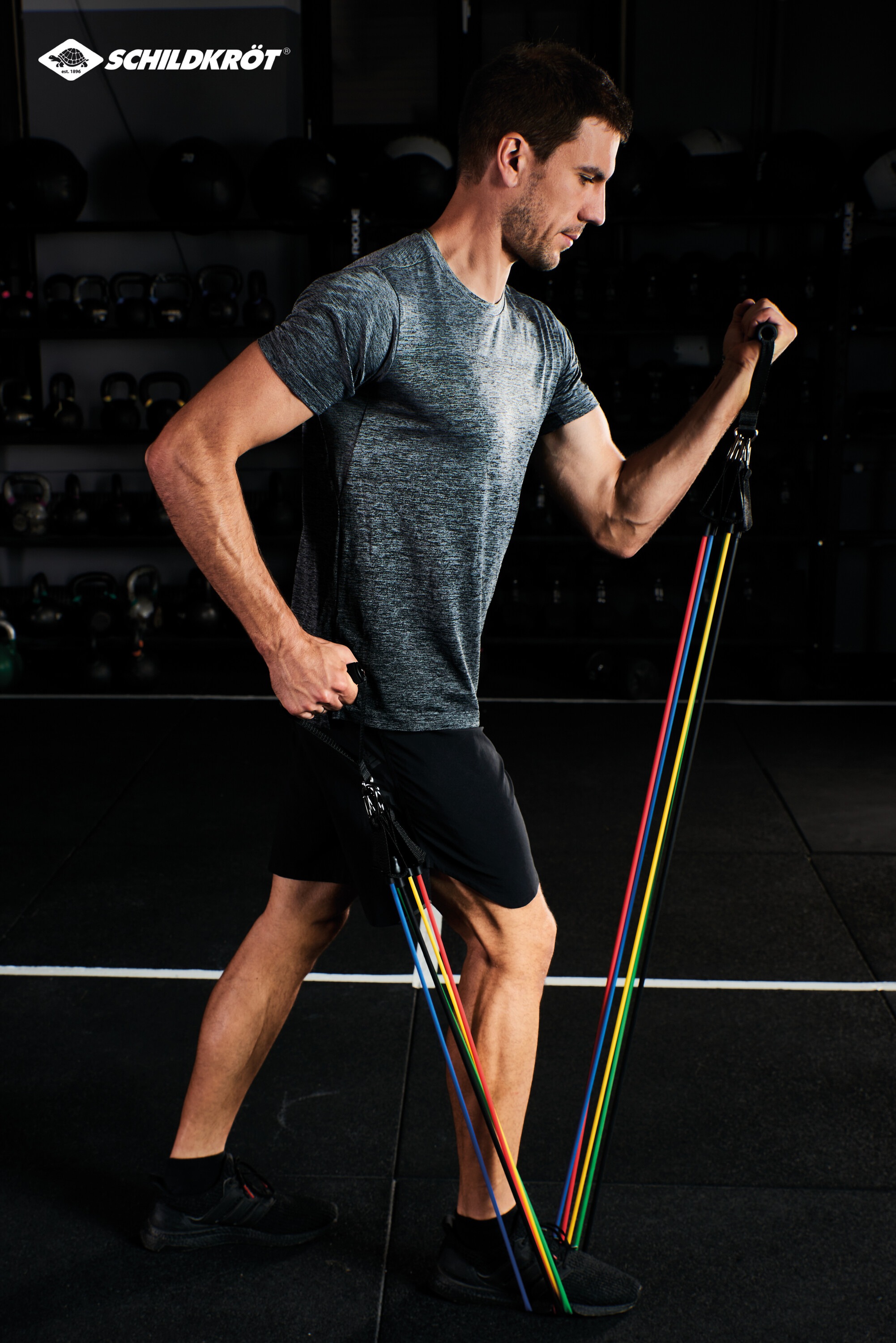 Schildkröt Kraftbänder bis zu 29 verschiedene Widerstandslevel