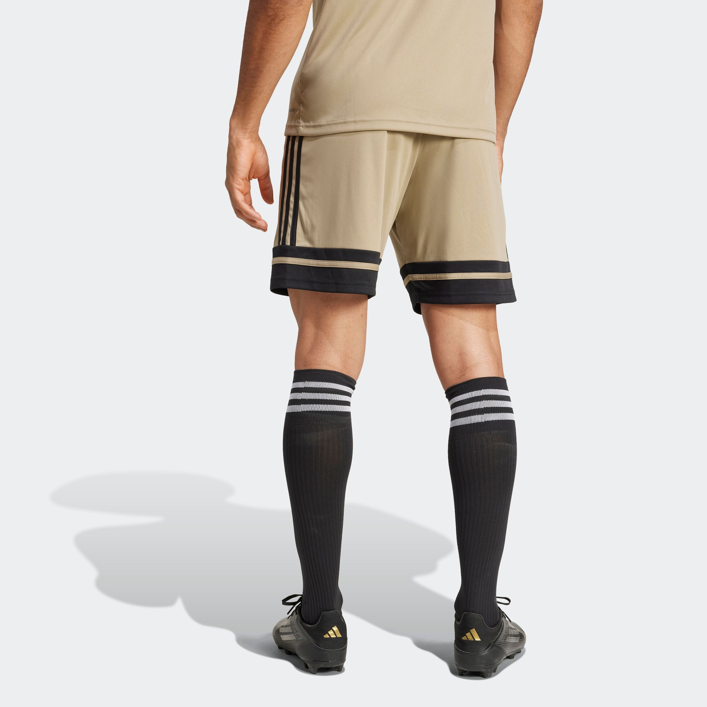 adidas Performance Trainingsshorts »SQUA25 SHO M«, (1 tlg.)