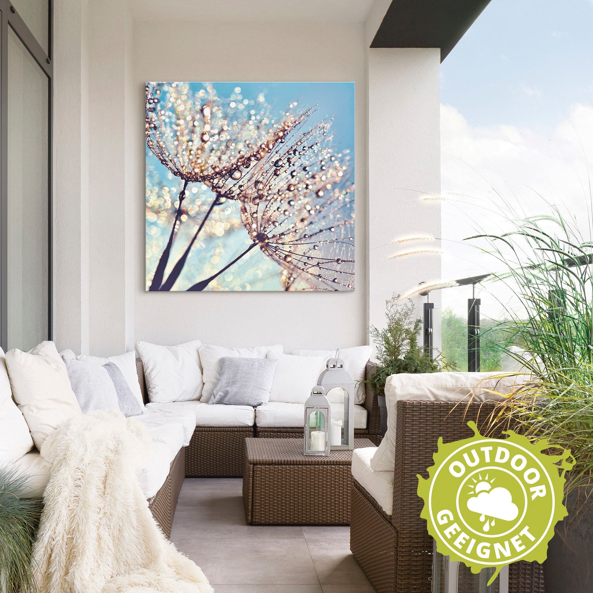 Artland Wandbild »Pusteblume Tröpfchenfänger«, Blumen, (1 St.), als Alubild, Outdoorbild, Leinwandbild, Poster in verschied. Größen