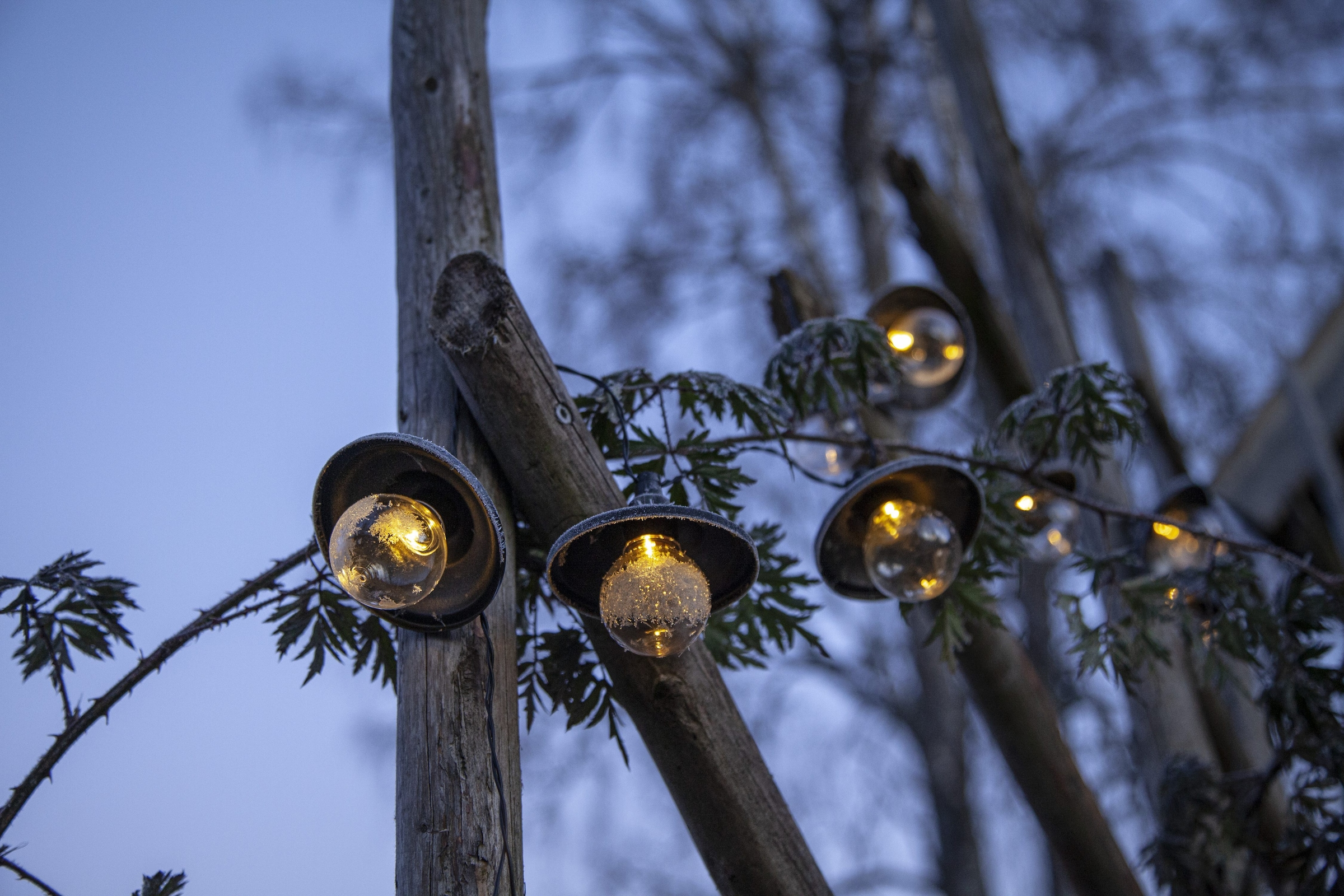 Parforce Traditional Hunting LED-Lichterkette »Globe Shade« 10 Stk.-flammig ca. 1,8 m + ca. 2 m Zuleitung, Akku, outdoor, Vierfarb-Karton