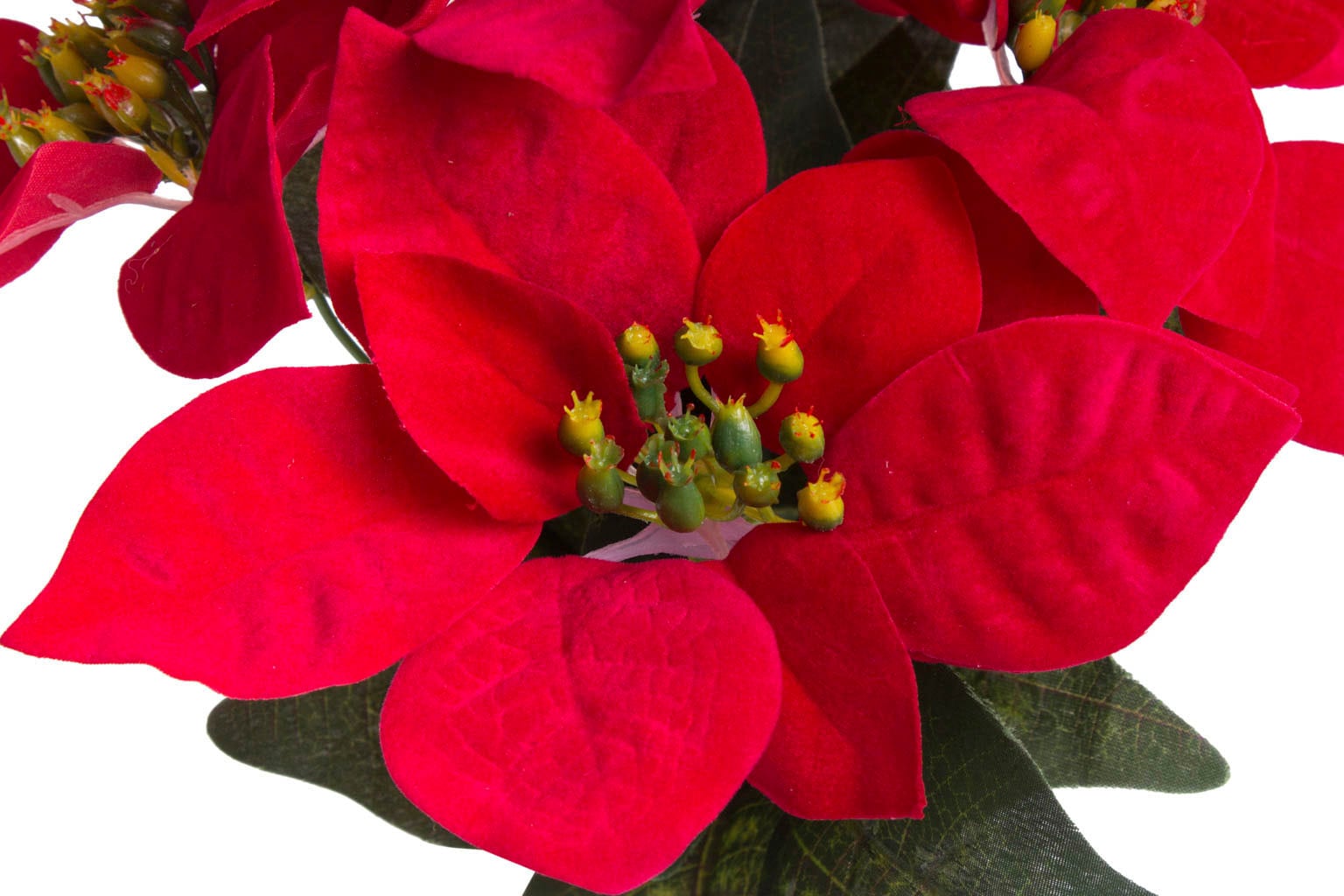 Kunstblume Kunststofftopf« in bequem »Weihnachtsstern braunem kaufen Botanic-Haus