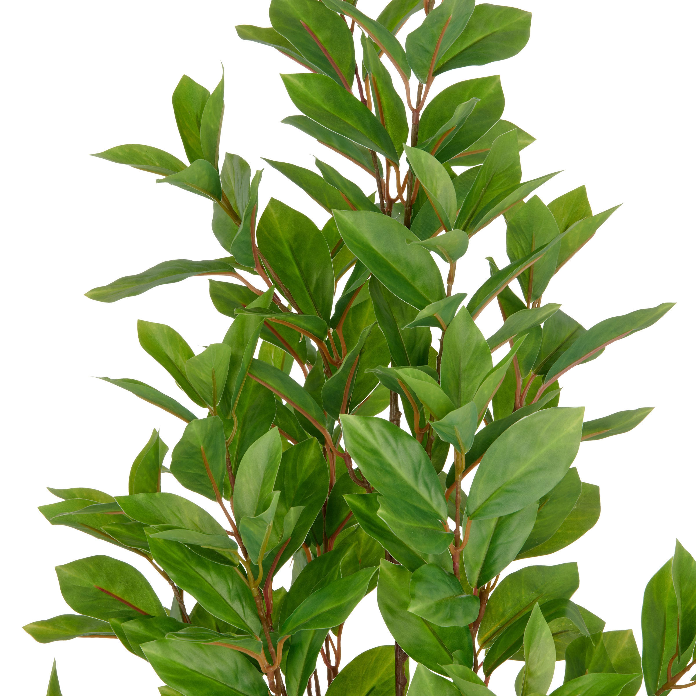 Creativ green Kunstpflanze »Epipremnum« mit schönem Blattwerk