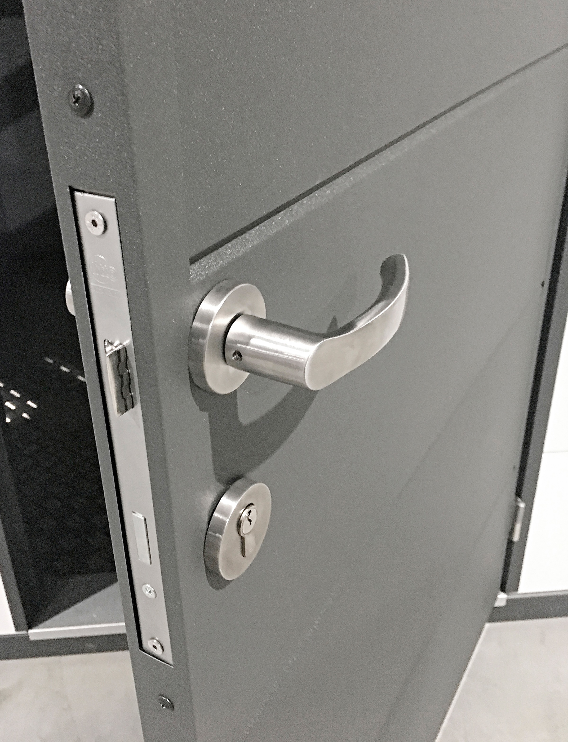 Wolff Gerätehaus »Eleganto 2424«, Metall
