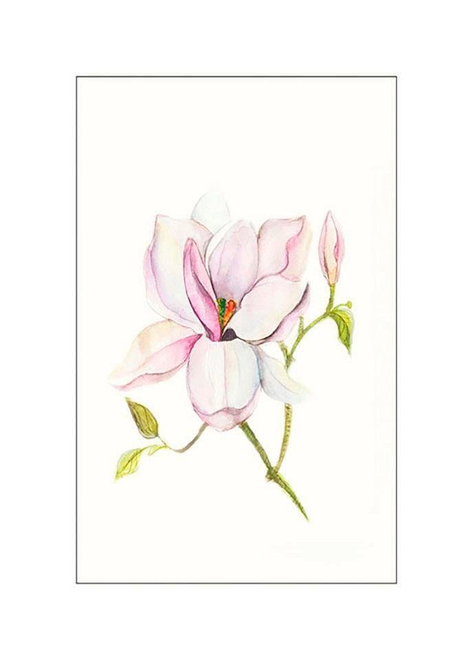 Komar Poster »Magnolia Shine«, 3 mit online | Jahren kaufen Garantie Wohnzimmer Kinderzimmer, Schlafzimmer, St.), (1 Pflanzen-Blätter, XXL