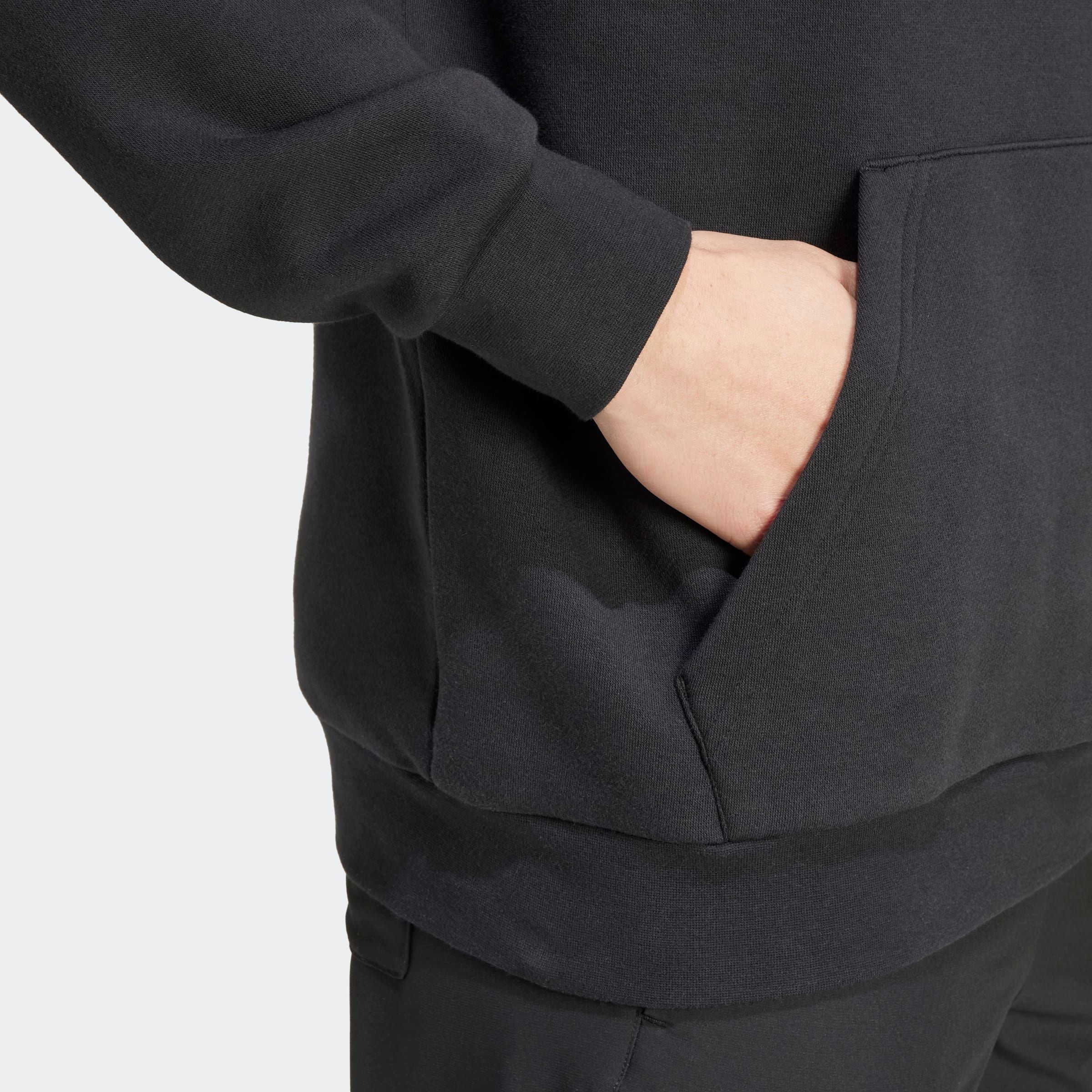 adidas TERREX Kapuzensweatshirt »MT L LOGO HD«